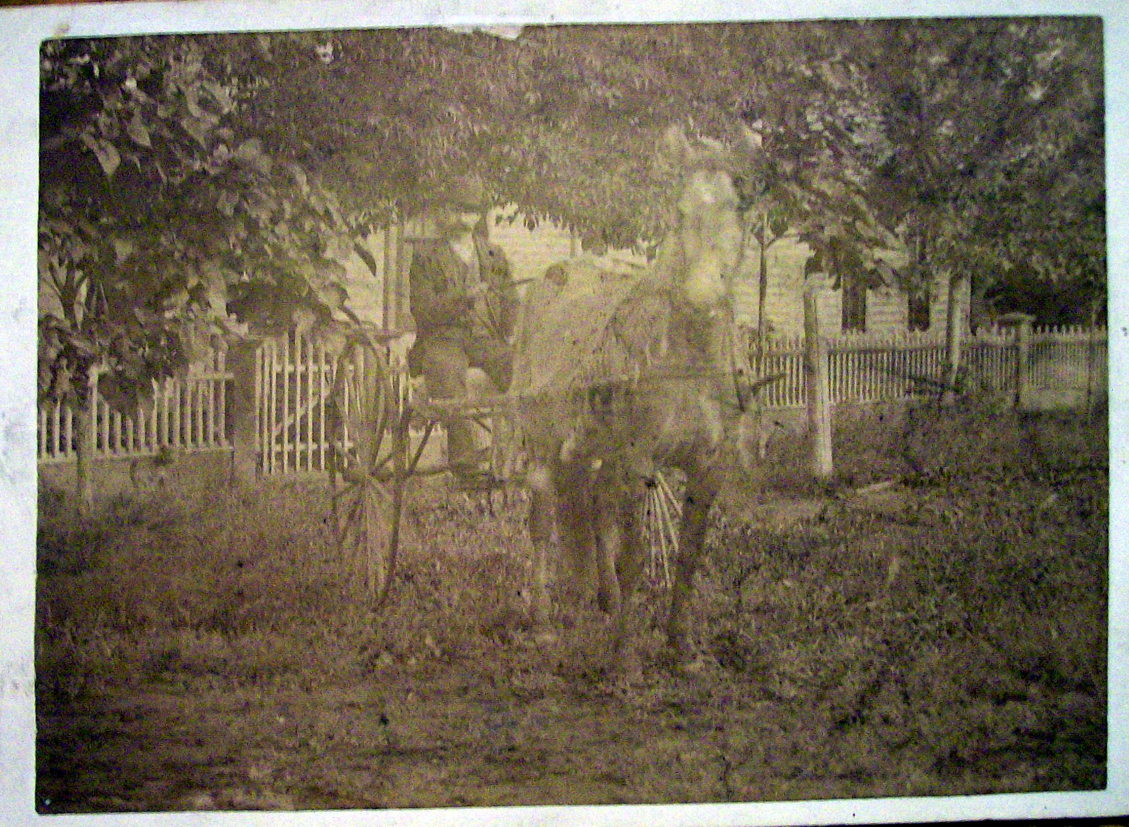 Off To Town - Cabinet Photo of a Man With Horse & Cart