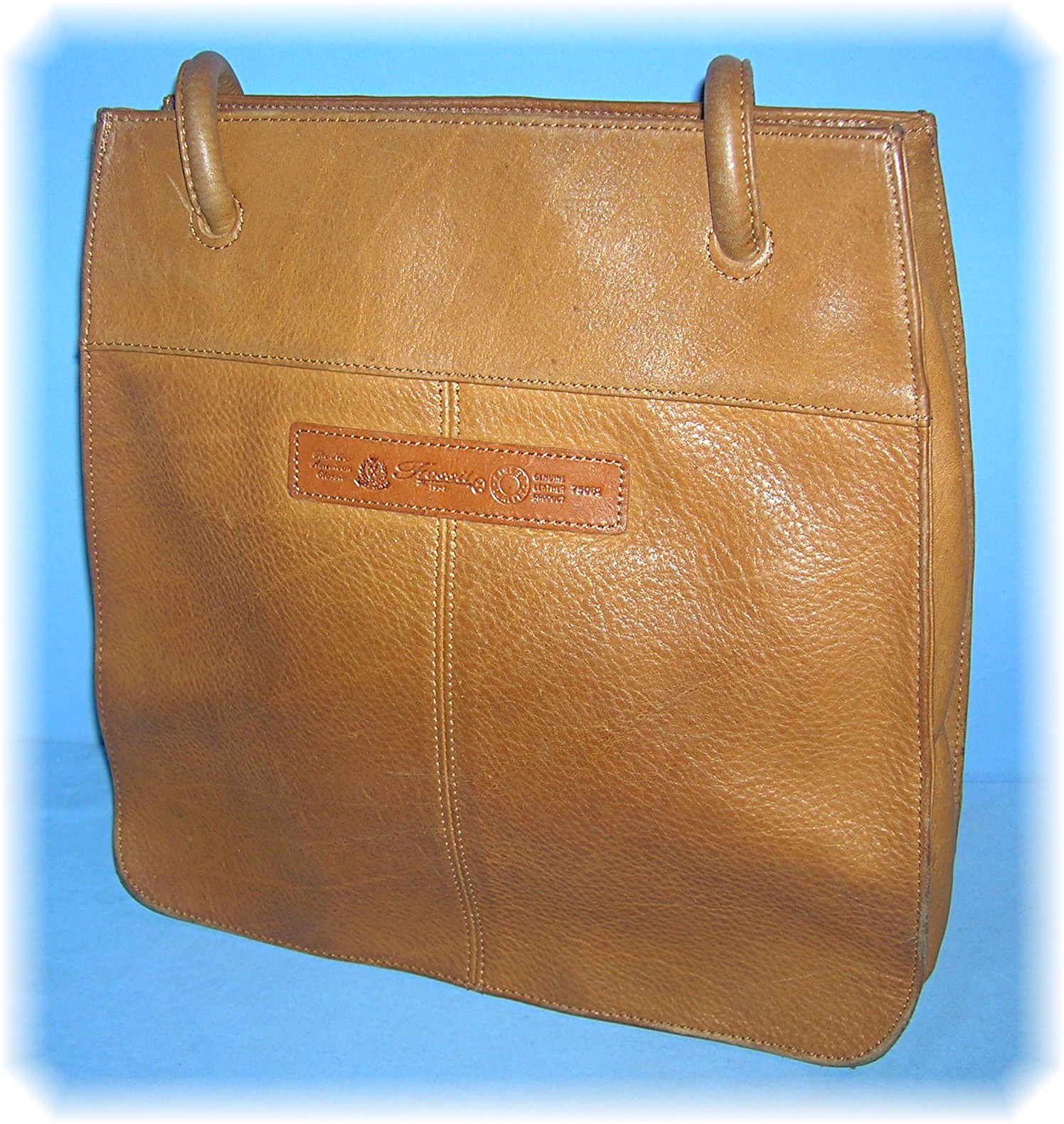 Bag Fossil Light Tan Leather Roomy tote
