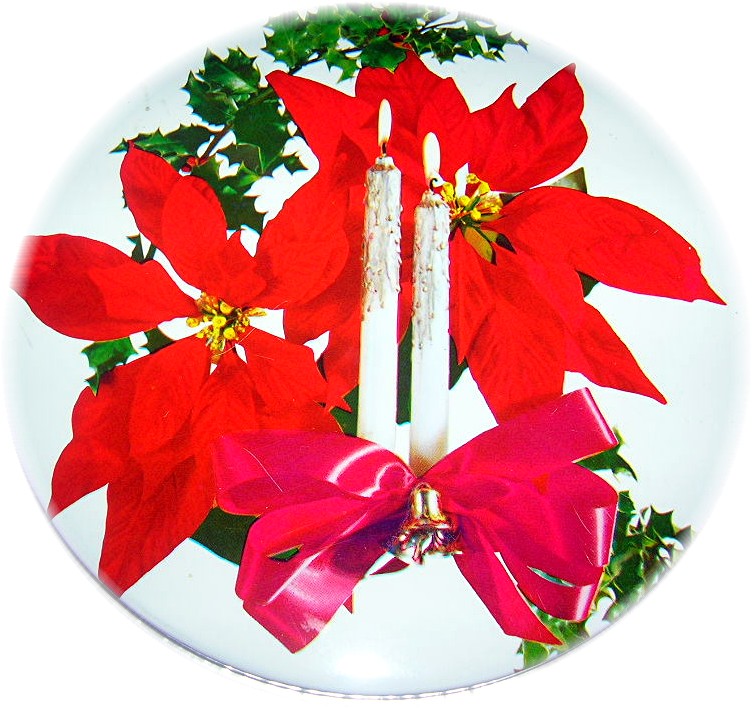 Christmas Tin - Poinsetteas