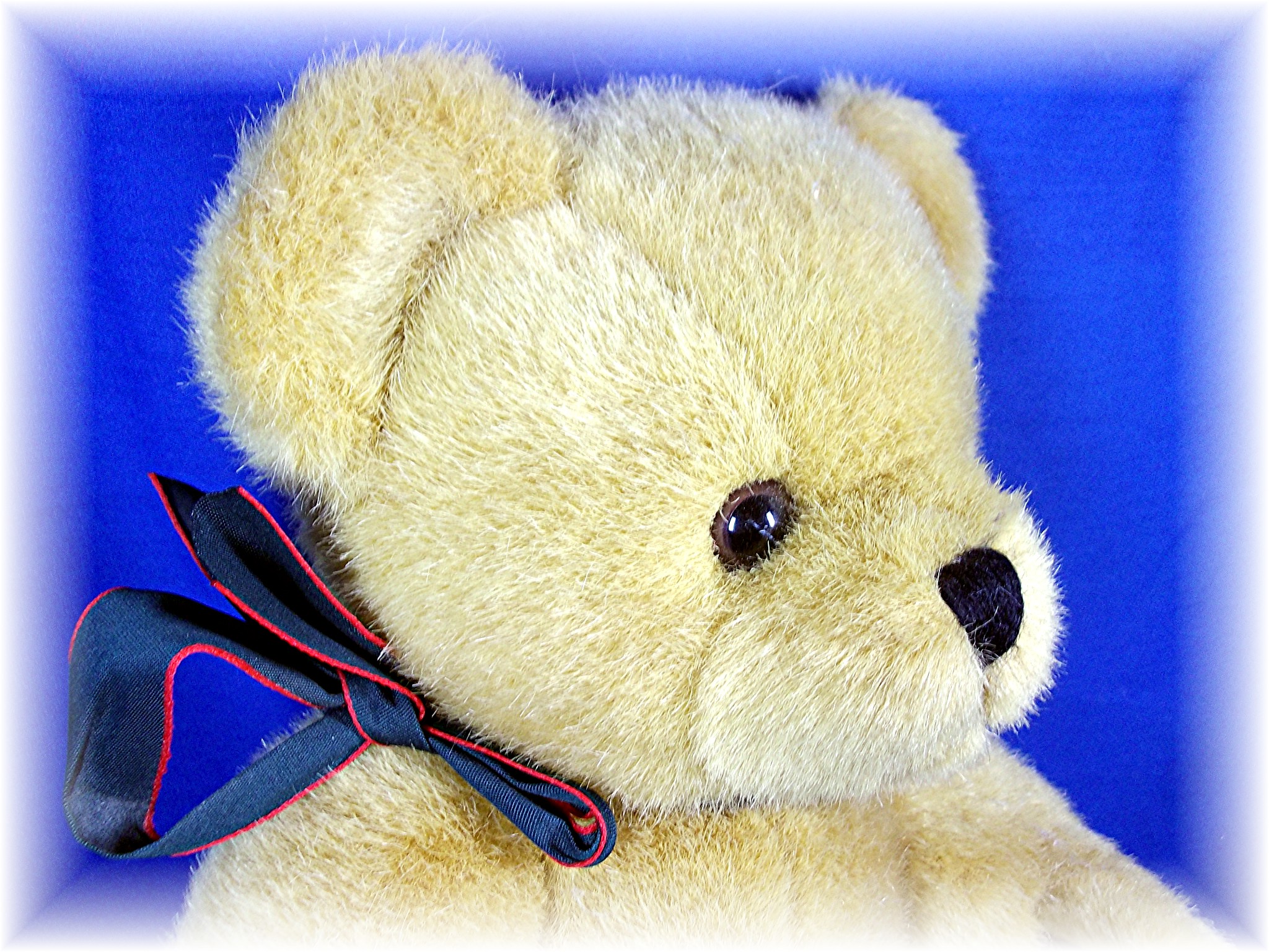 Plush Teddy Bear - Prettique -