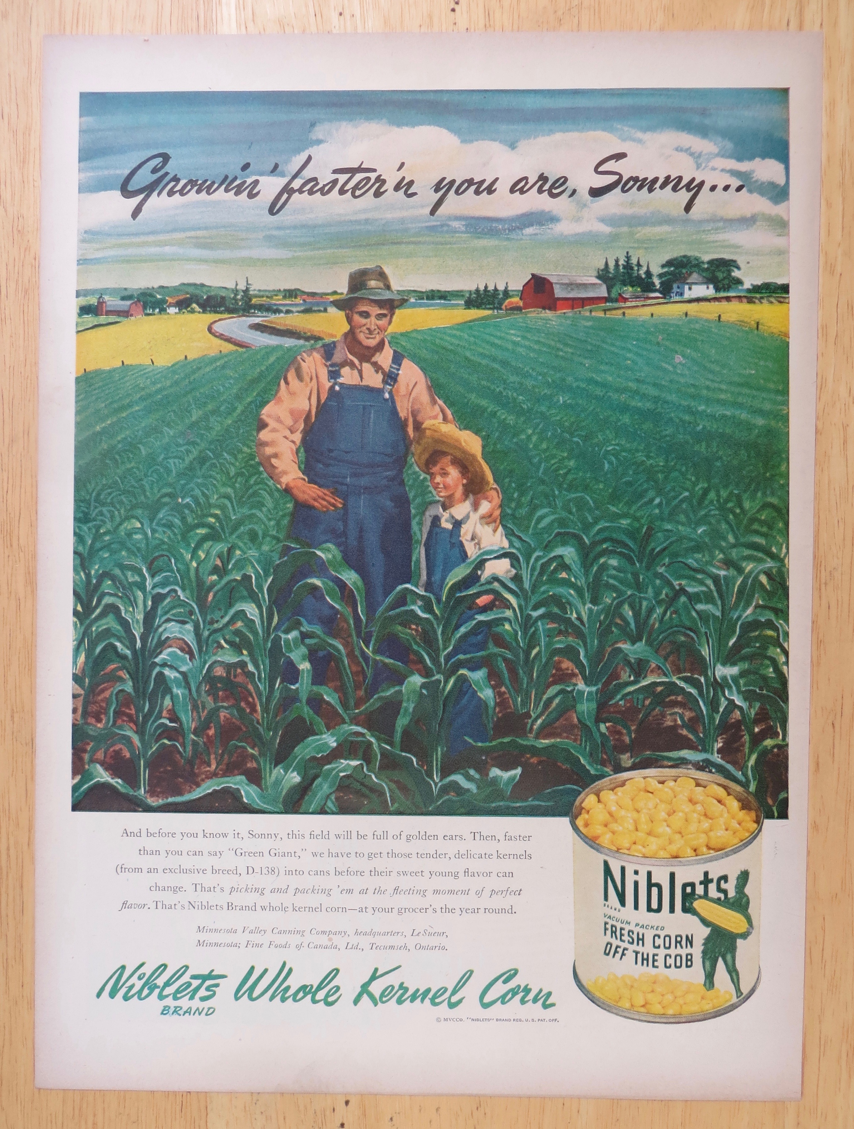 1947 Green Giant Niblets Corn w/ Farmer & Son in Field