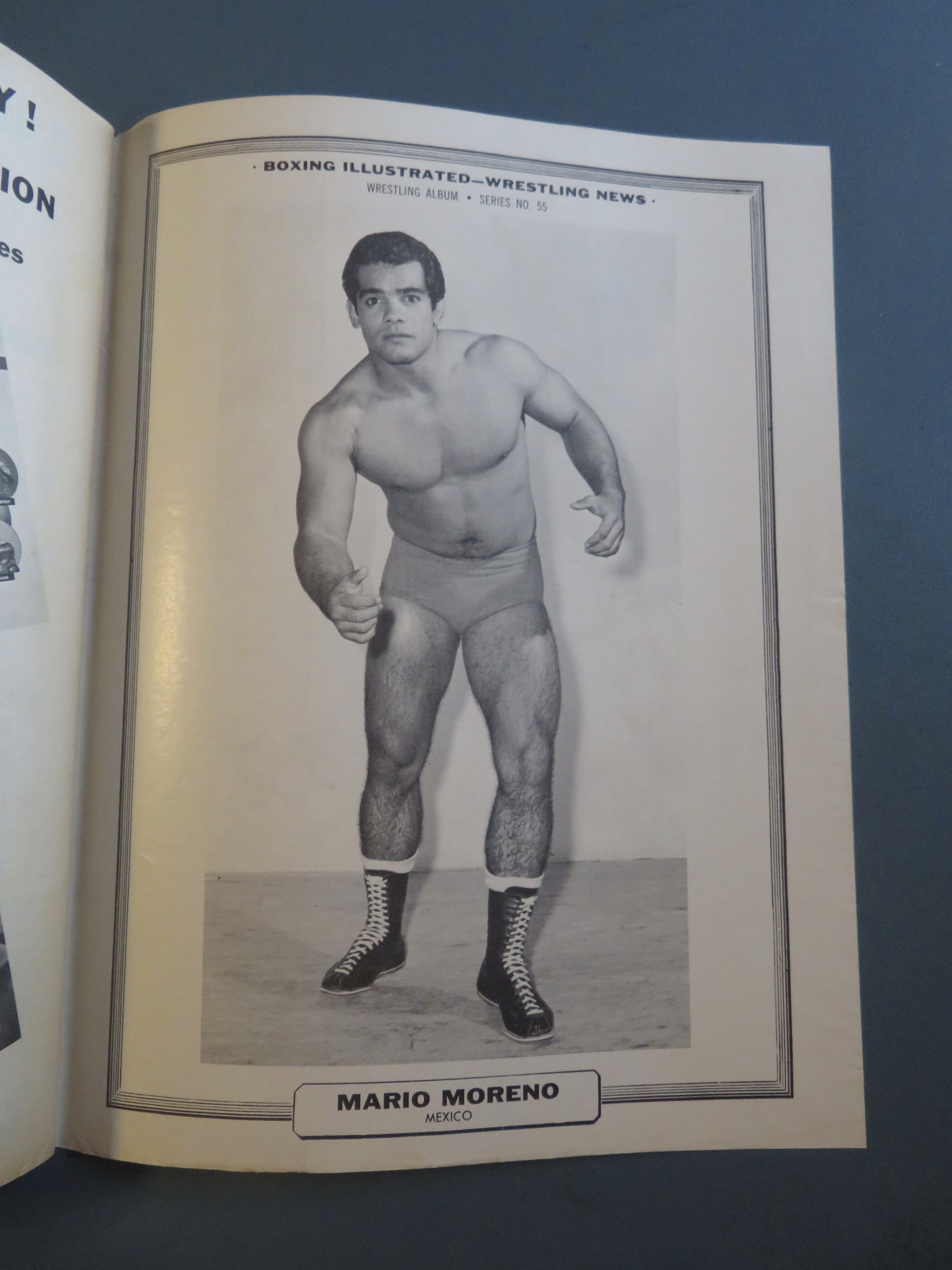 Boxing Illustrated Wrestling News Magazine Nov 1963