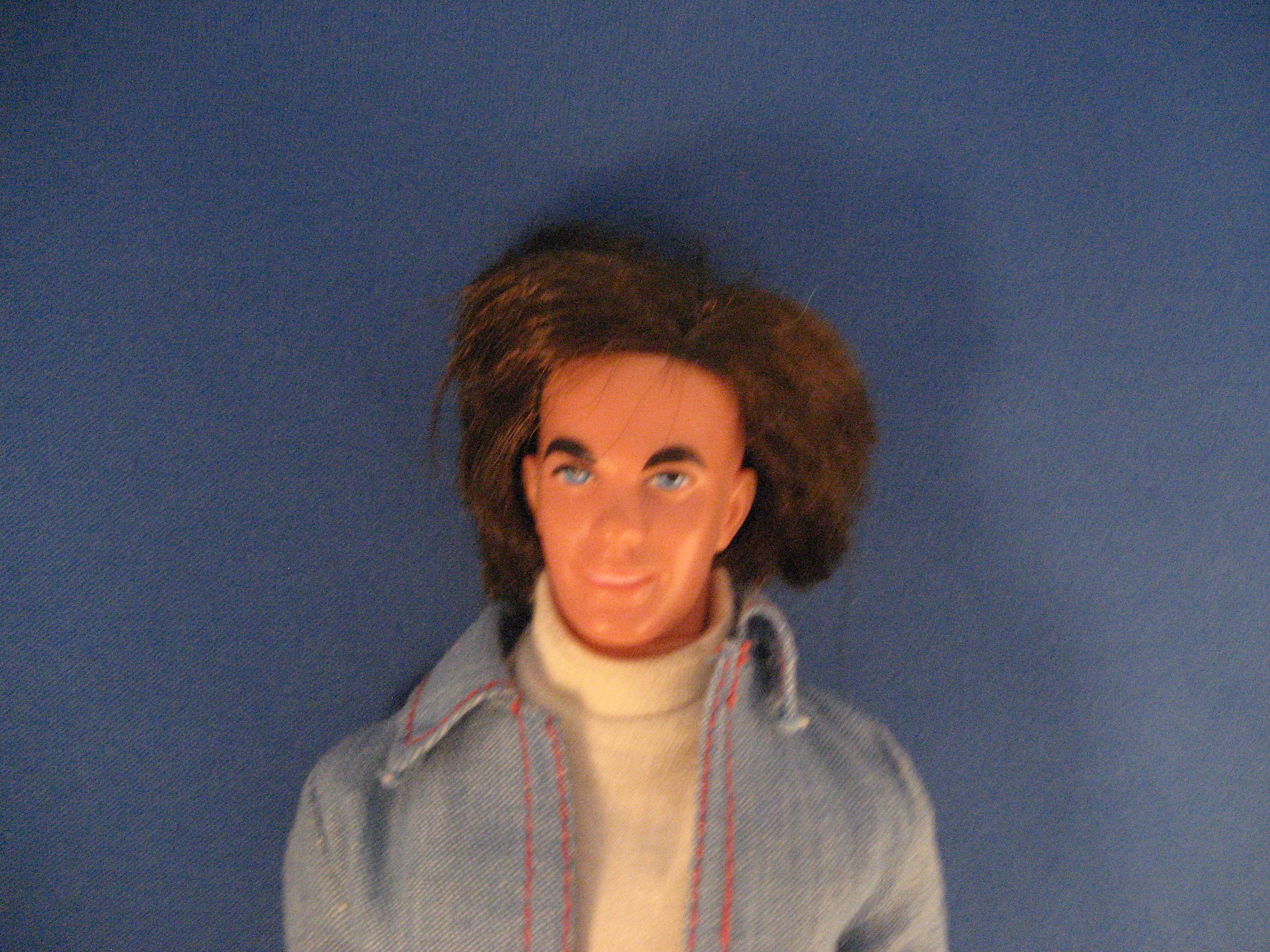 Mod Hair Ken and Clothes