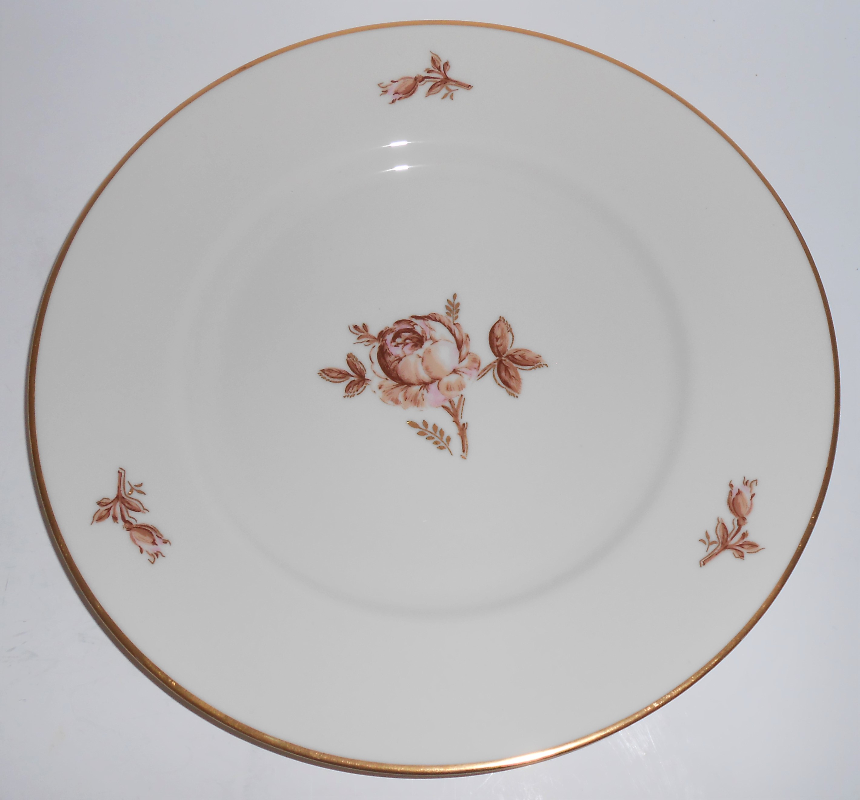Ransgil Porcelain China Velvet Rose Gold Band Dinner Pl