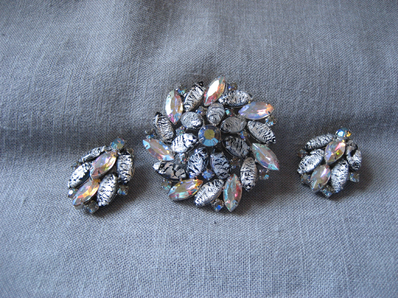 Aurora Borealis and Zebra  Brooch and Earring