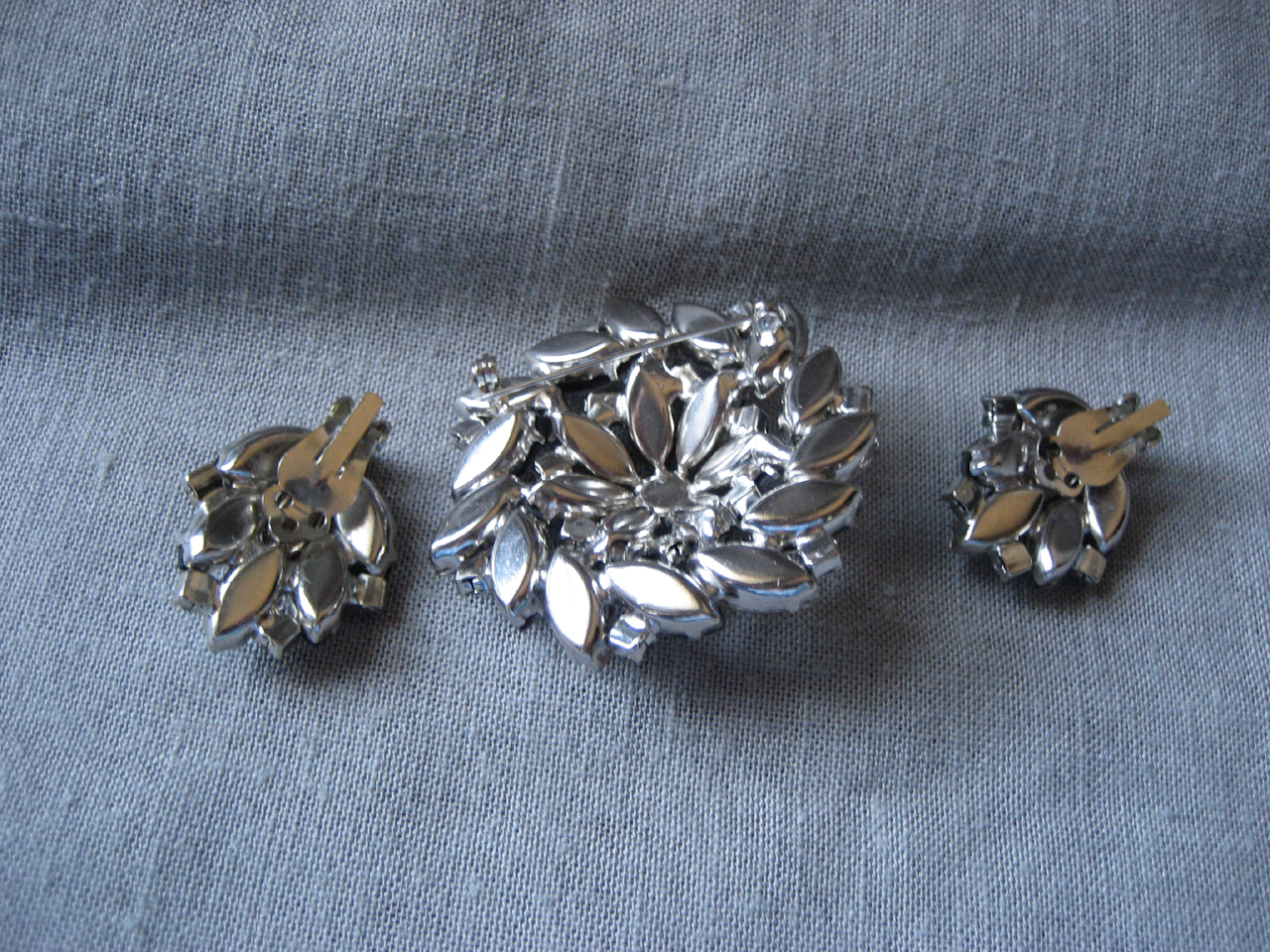 Aurora Borealis and Zebra  Brooch and Earring