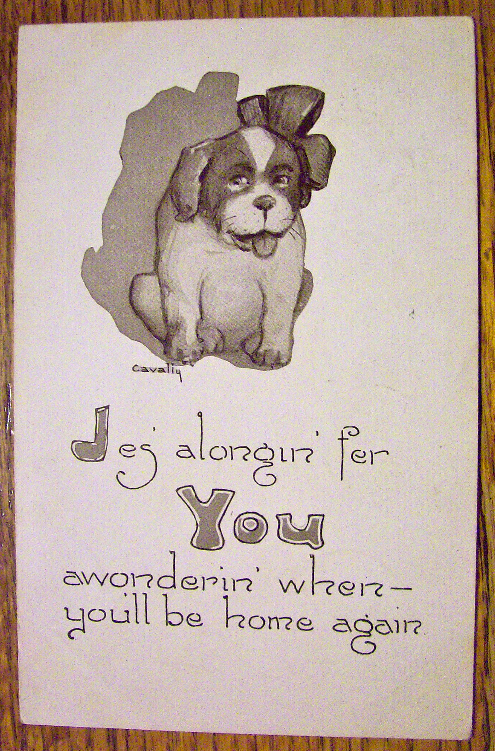 Puppy Sitting With A Bow On Its Head Postcard