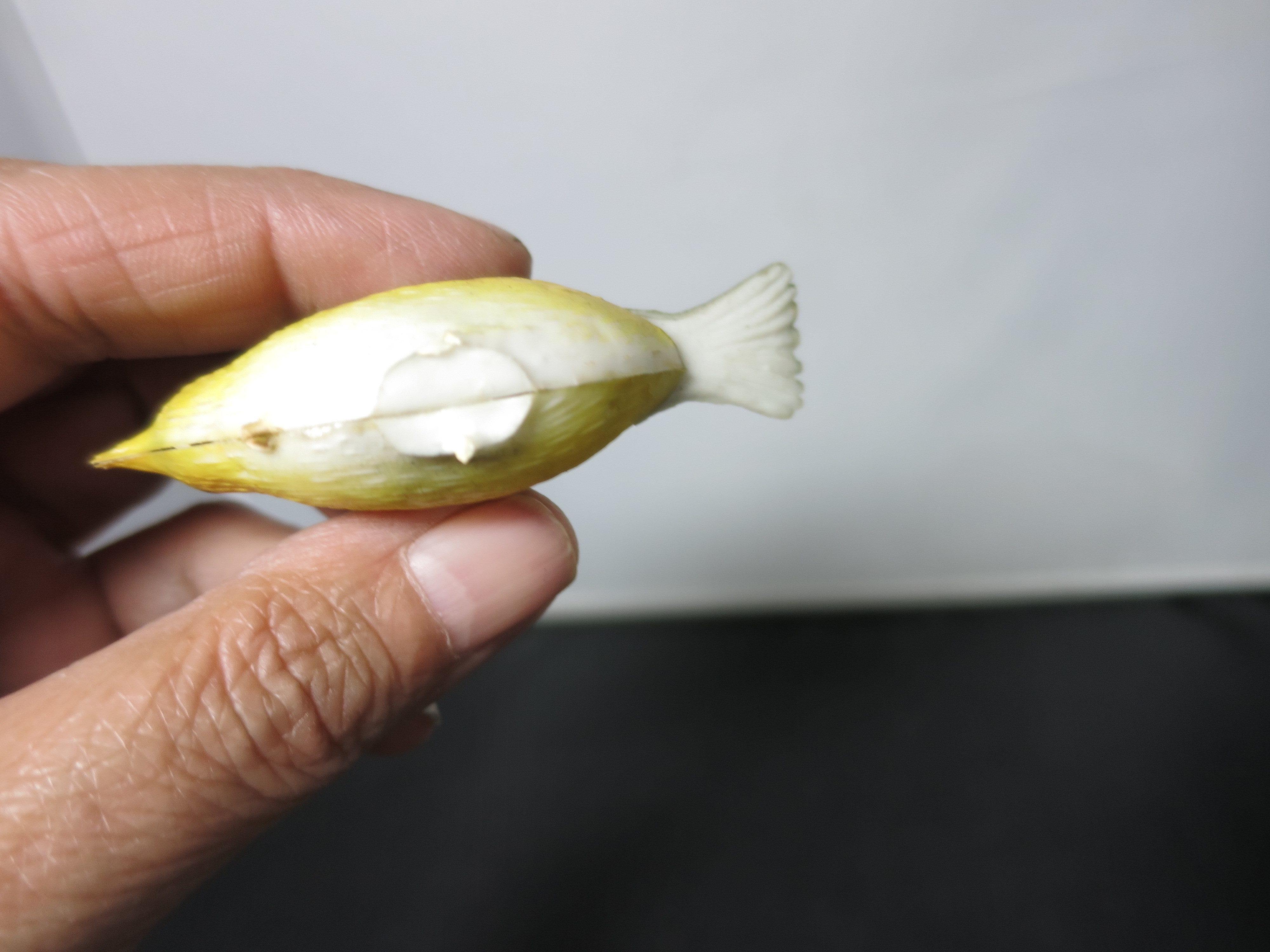 Vintage Plastic Bird Crafting Cake Decoration