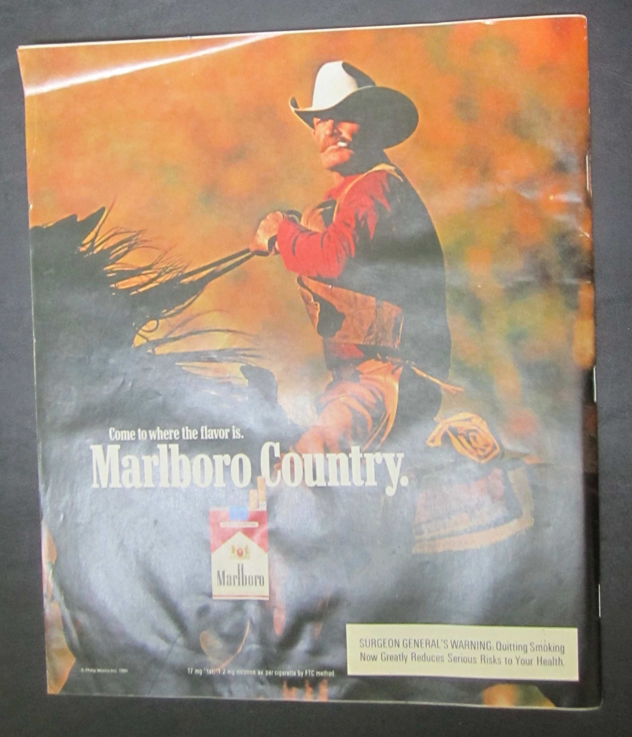 Life Magazine Summer Special 1991 Our National Parks