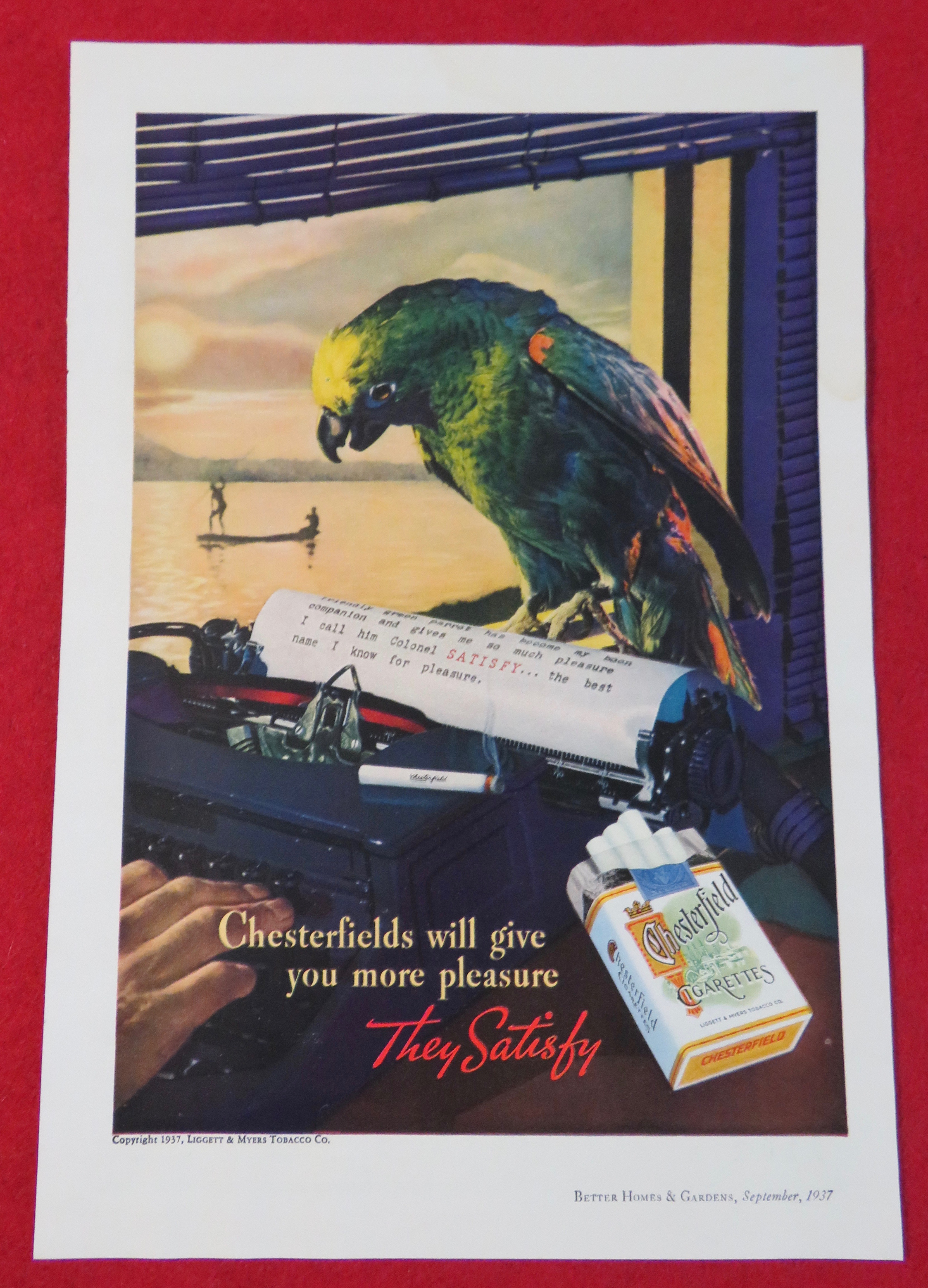 1937 Chesterfield Cigarettes with Parrot Reading Letter