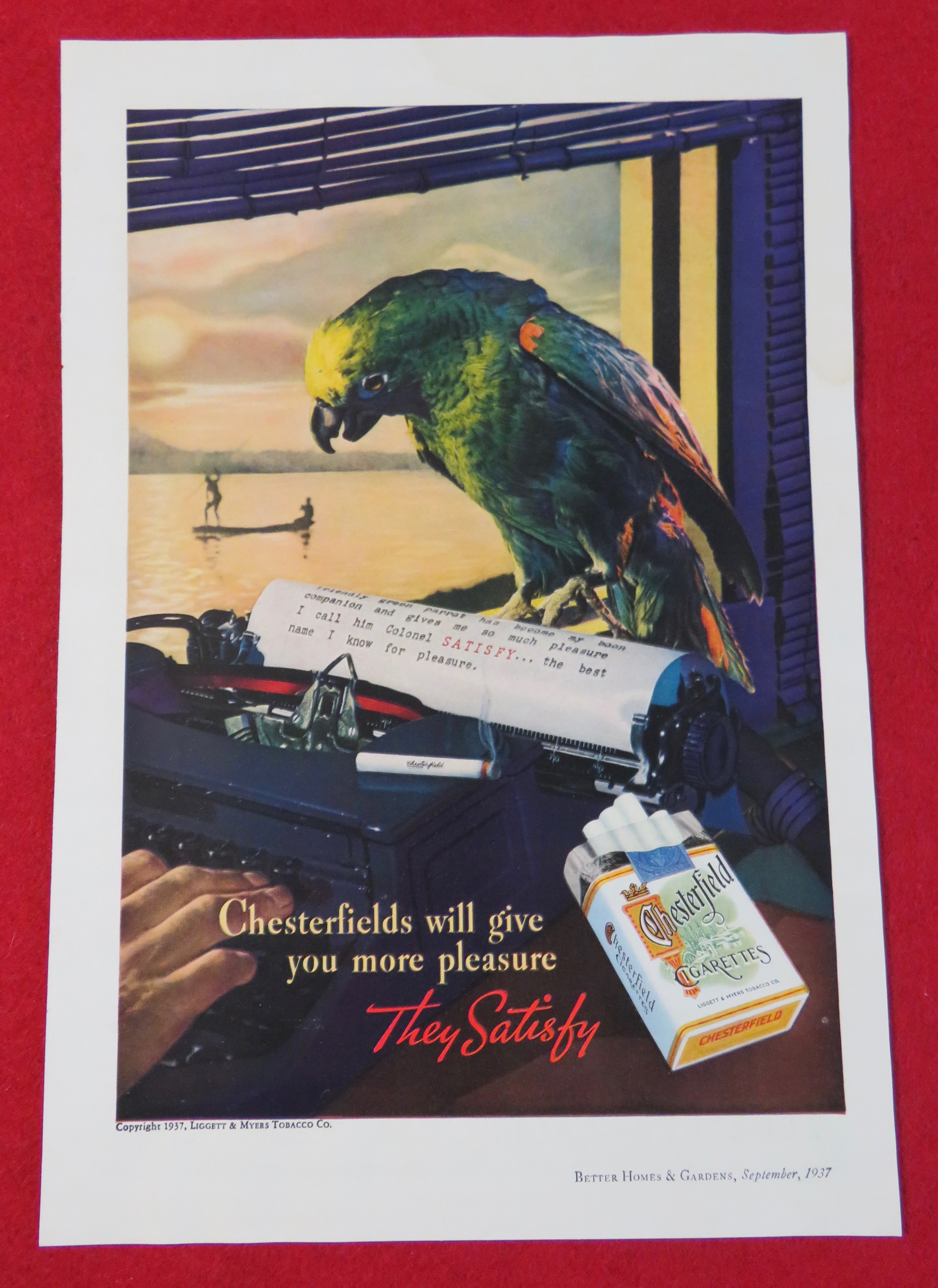 1937 Chesterfield Cigarettes with Parrot Reading Letter
