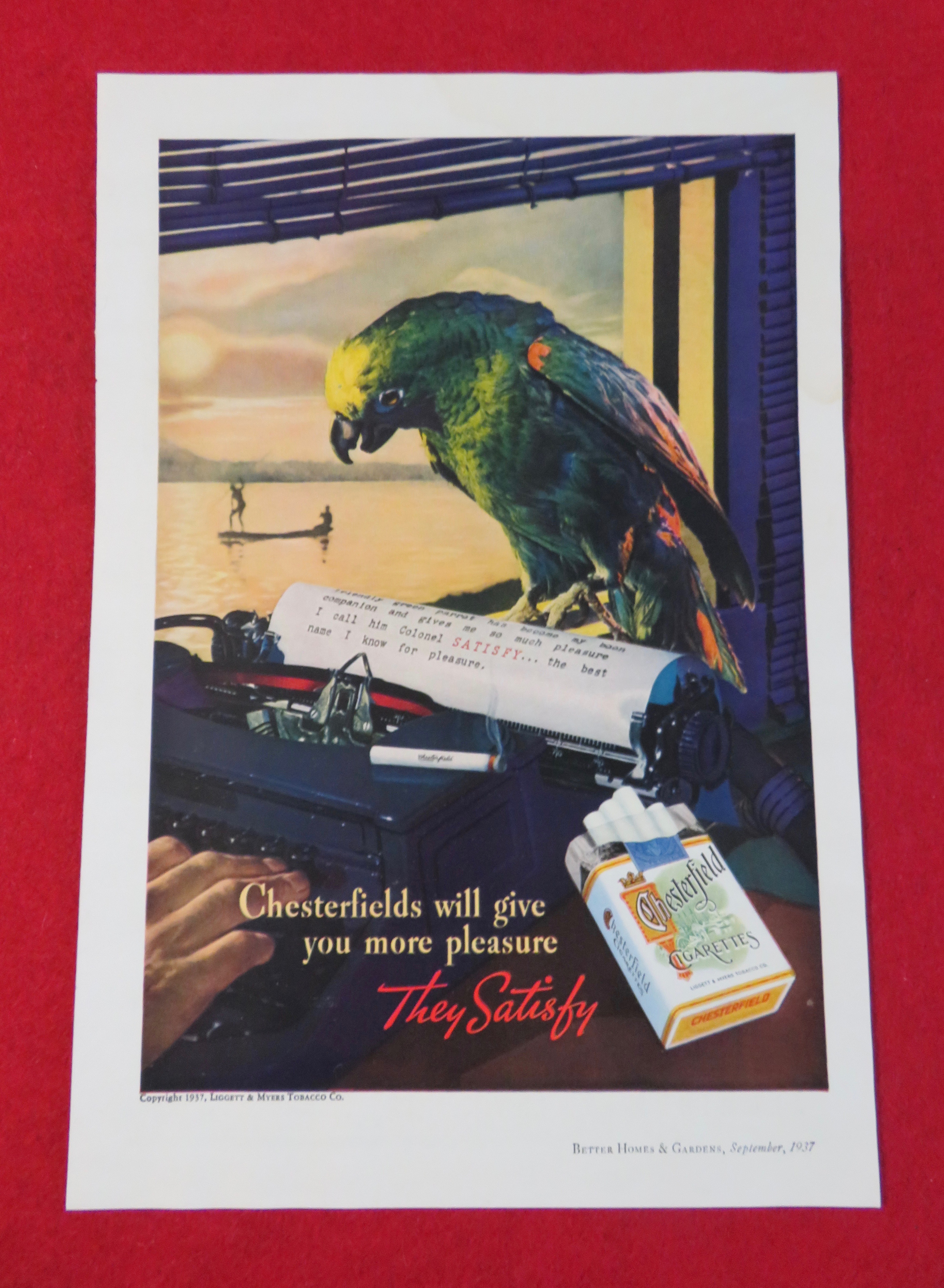 1937 Chesterfield Cigarettes with Parrot Reading Letter