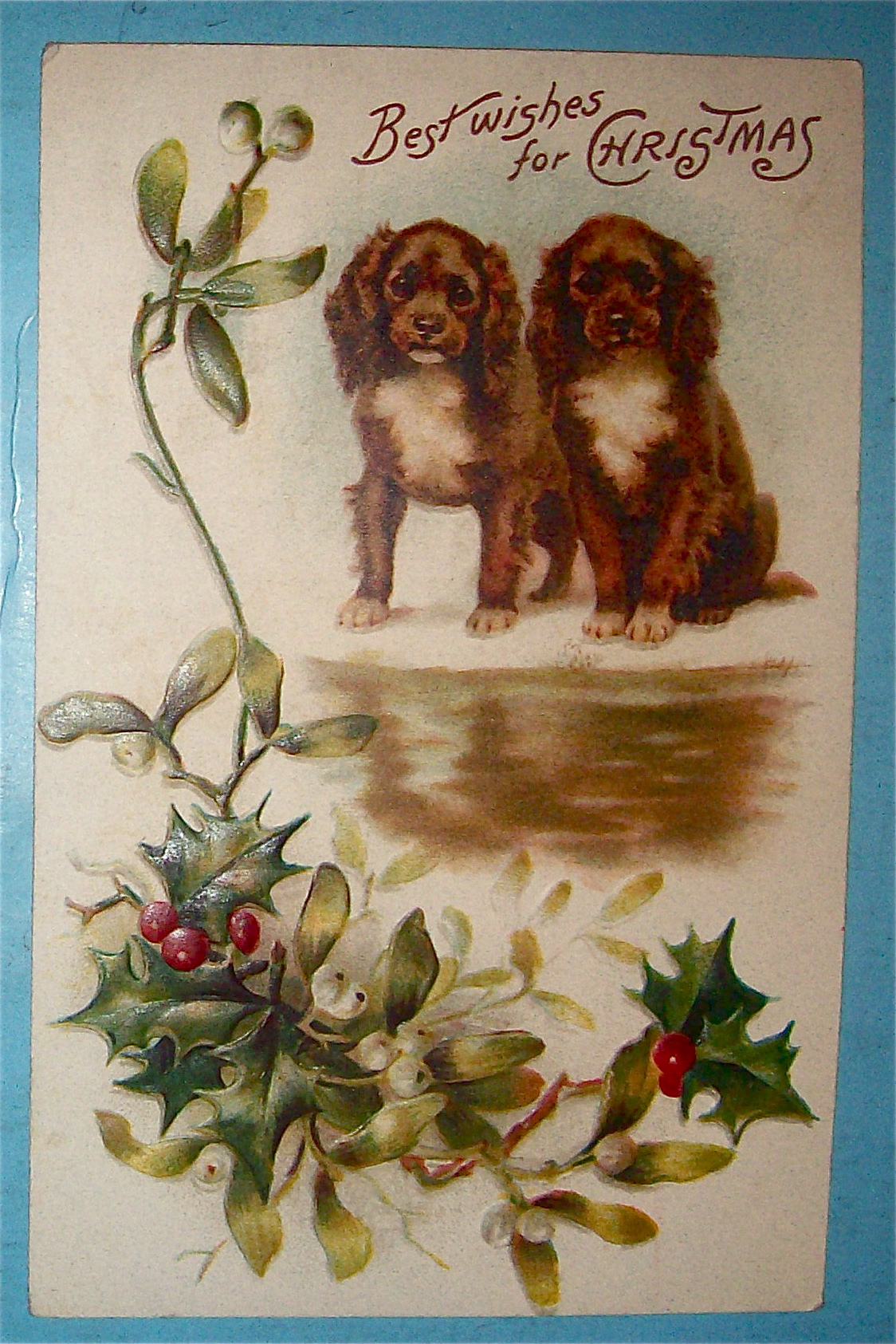 Best Wishes Christmas Postcard with 2 Dogs