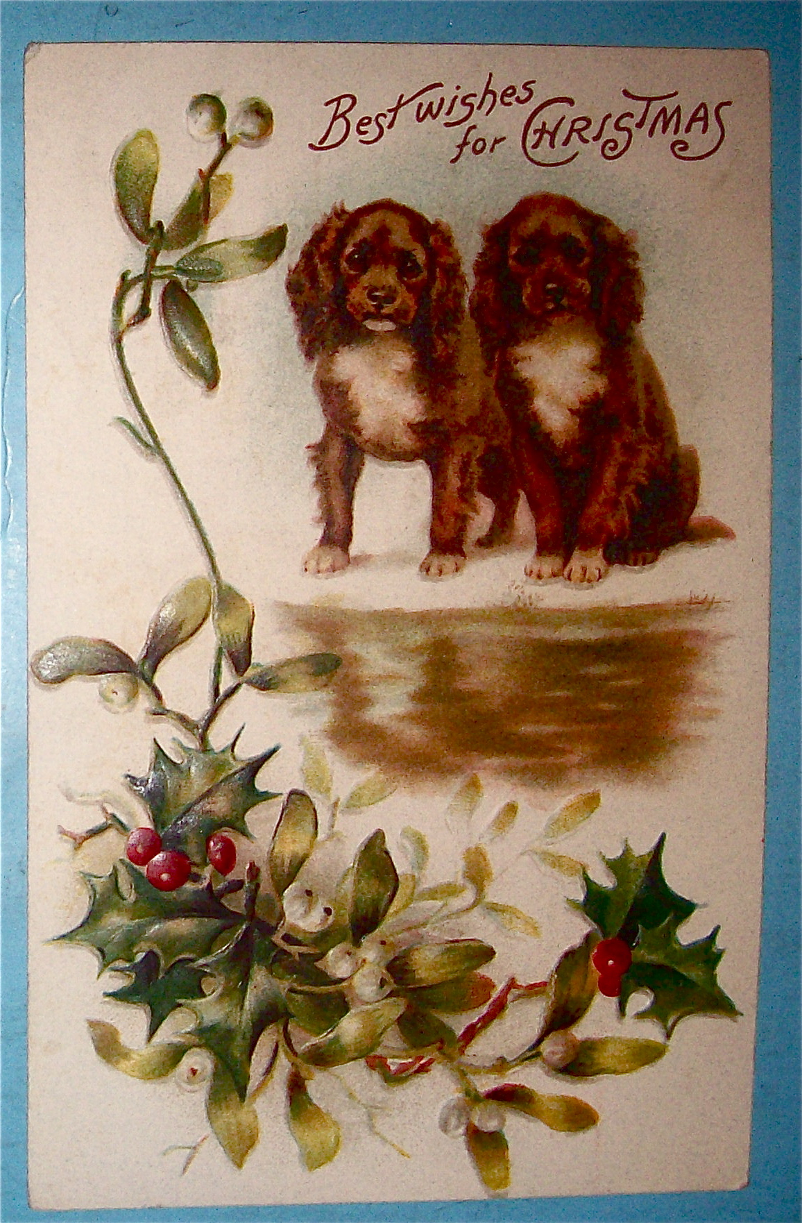 Best Wishes Christmas Postcard with 2 Dogs
