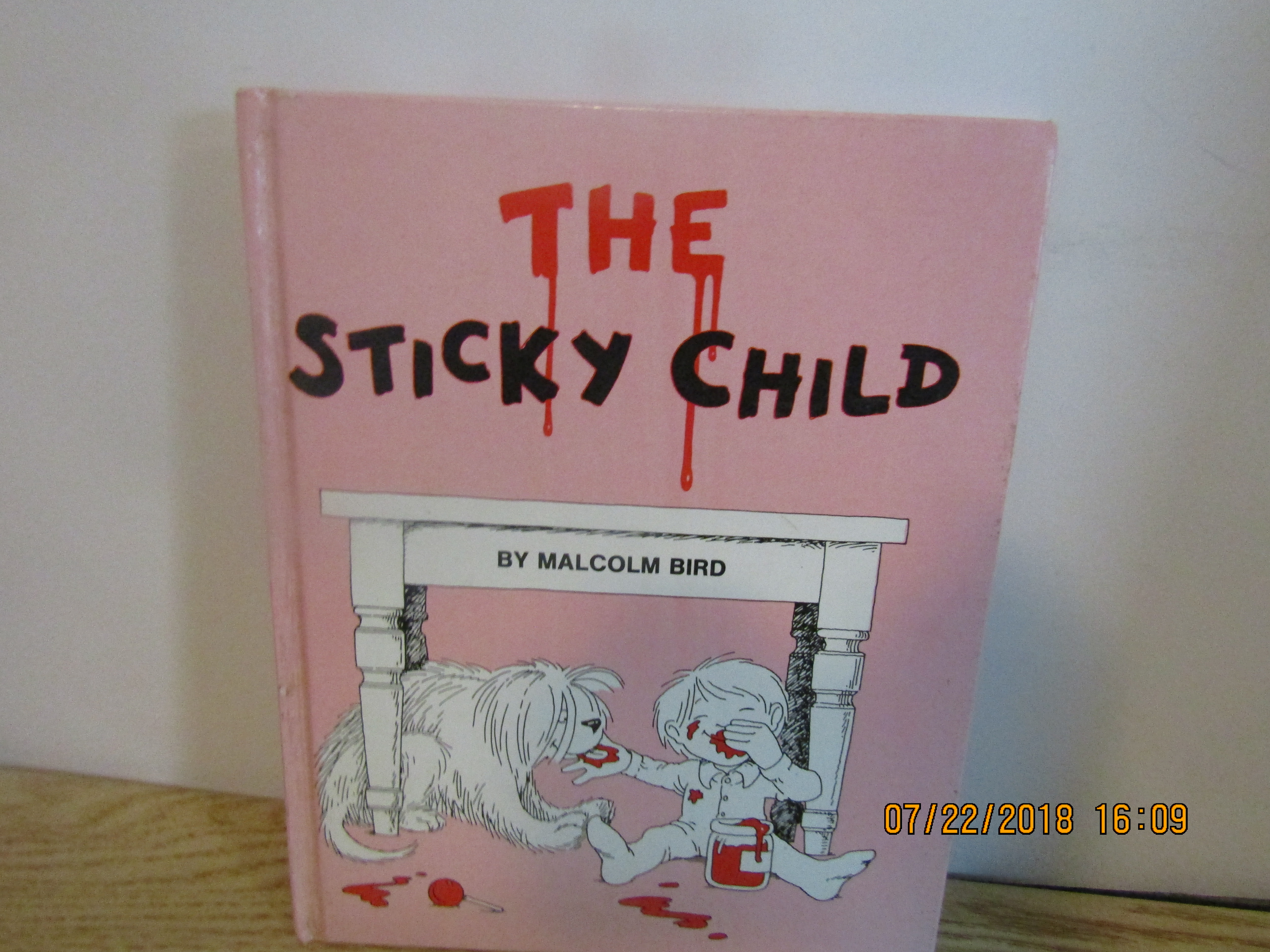 Children's Picture Book The Sticky Child
