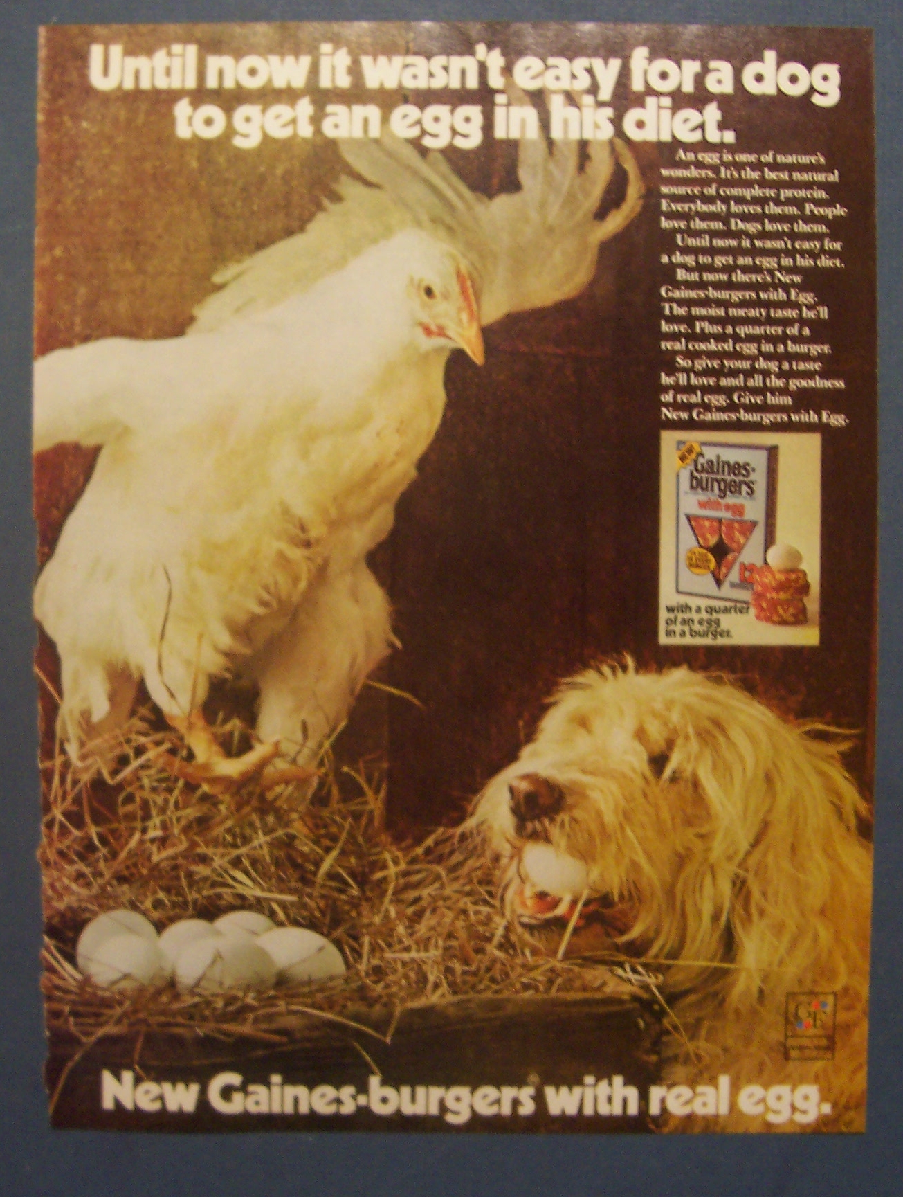 1974  Gaines - Burger  Dog  Food