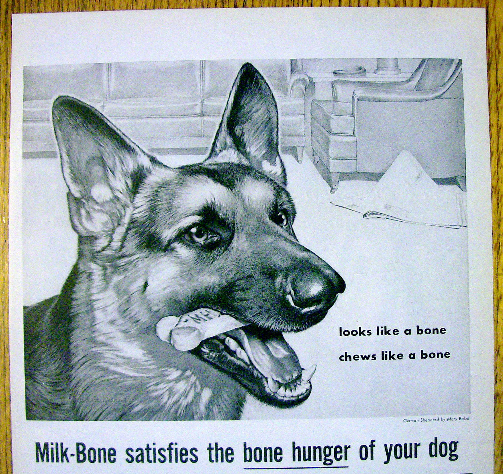 1959 Milk Bone Dog Biscuits with Shepherd by Mary Baker