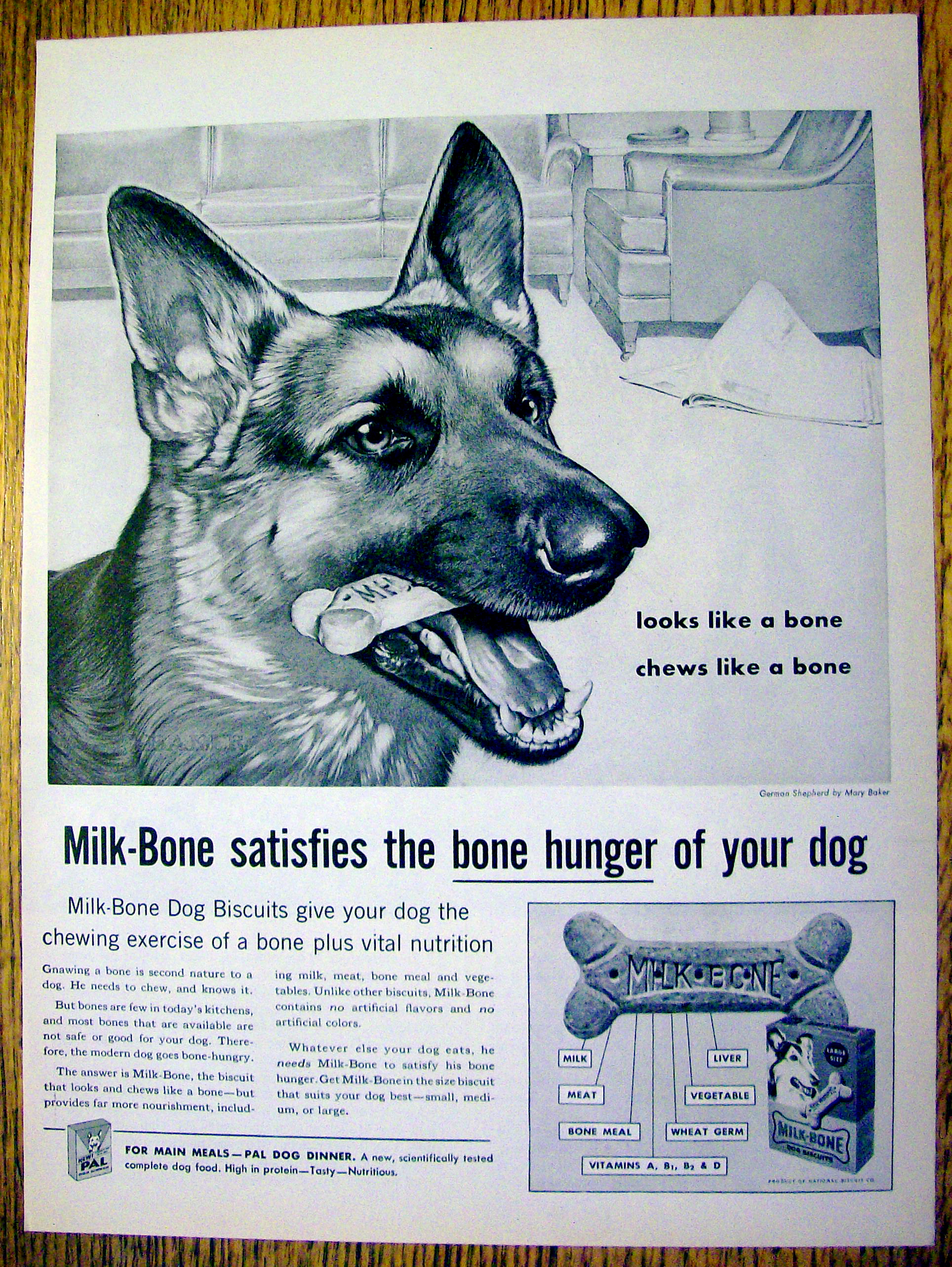 1959 Milk Bone Dog Biscuits with Shepherd by Mary Baker