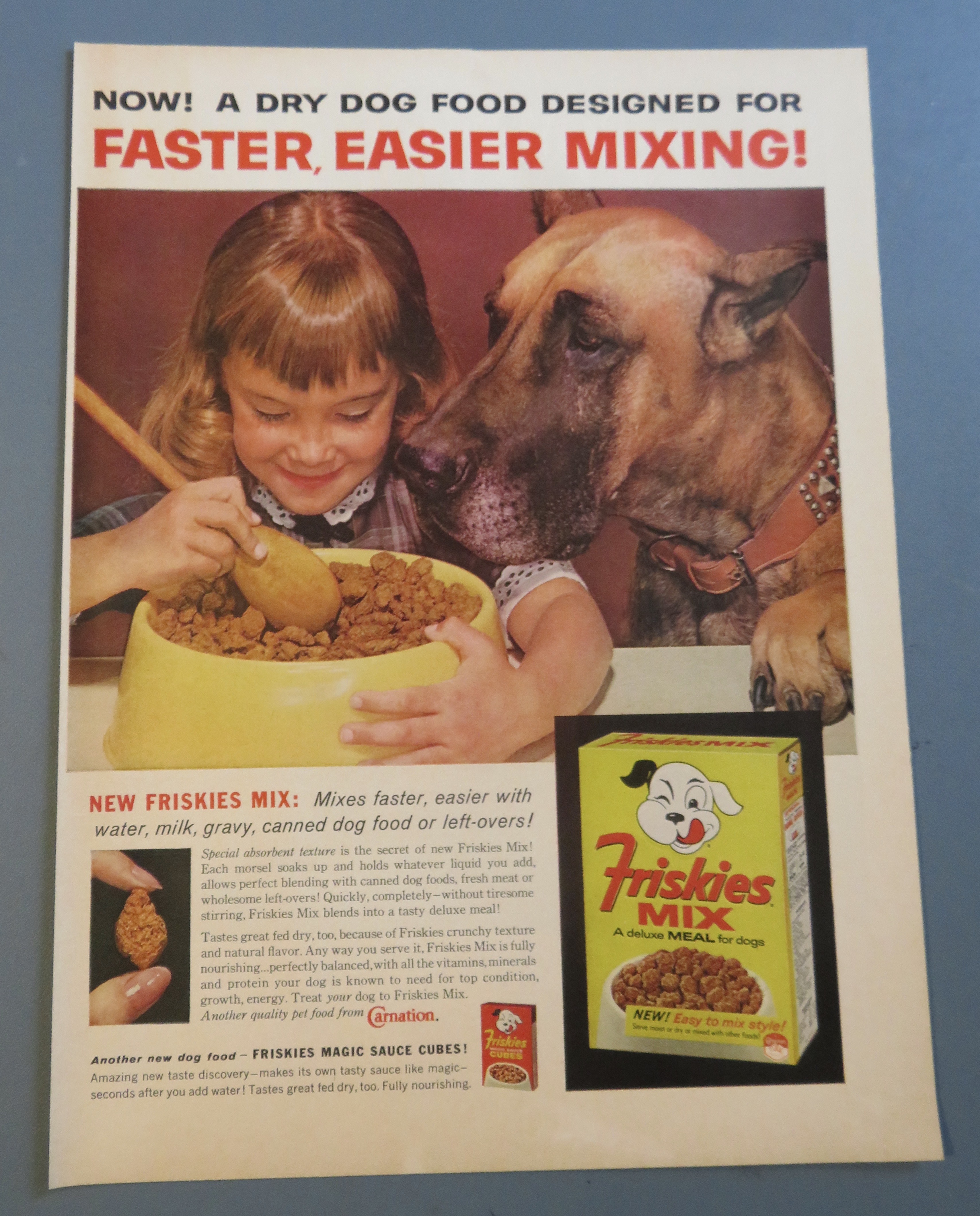 1961 Friskies Mix with Little Girl Feeding Her Dog