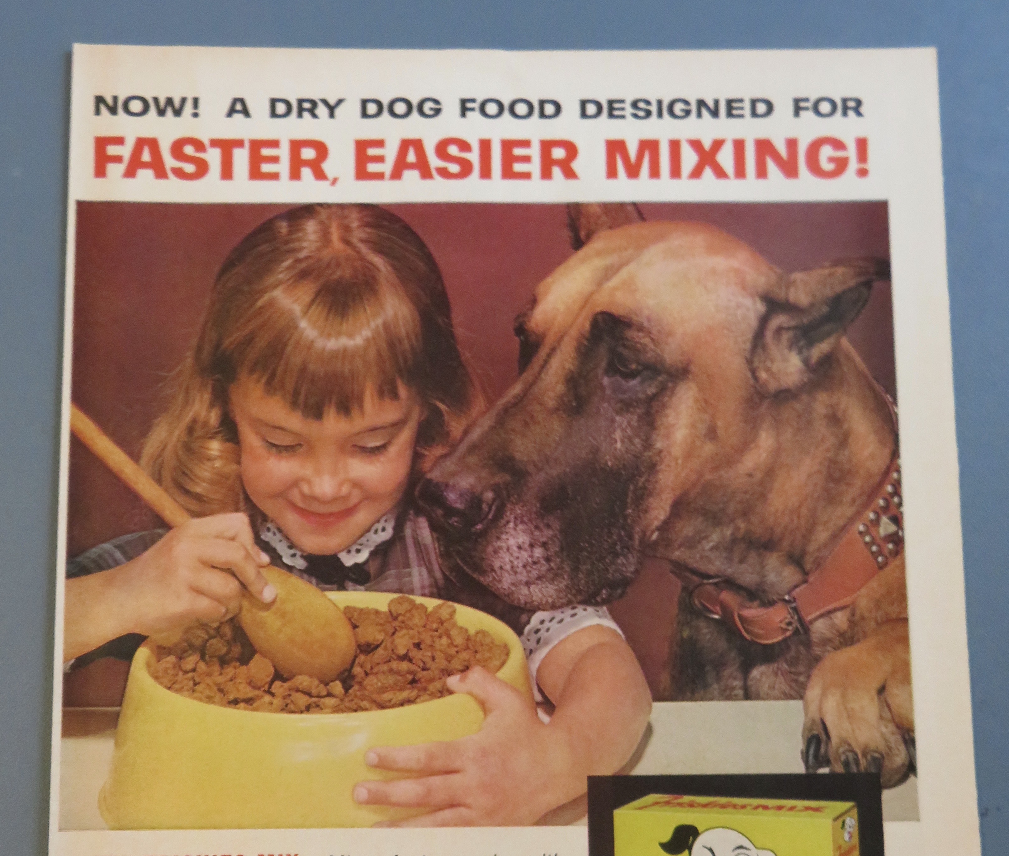 1961 Friskies Mix with Little Girl Feeding Her Dog