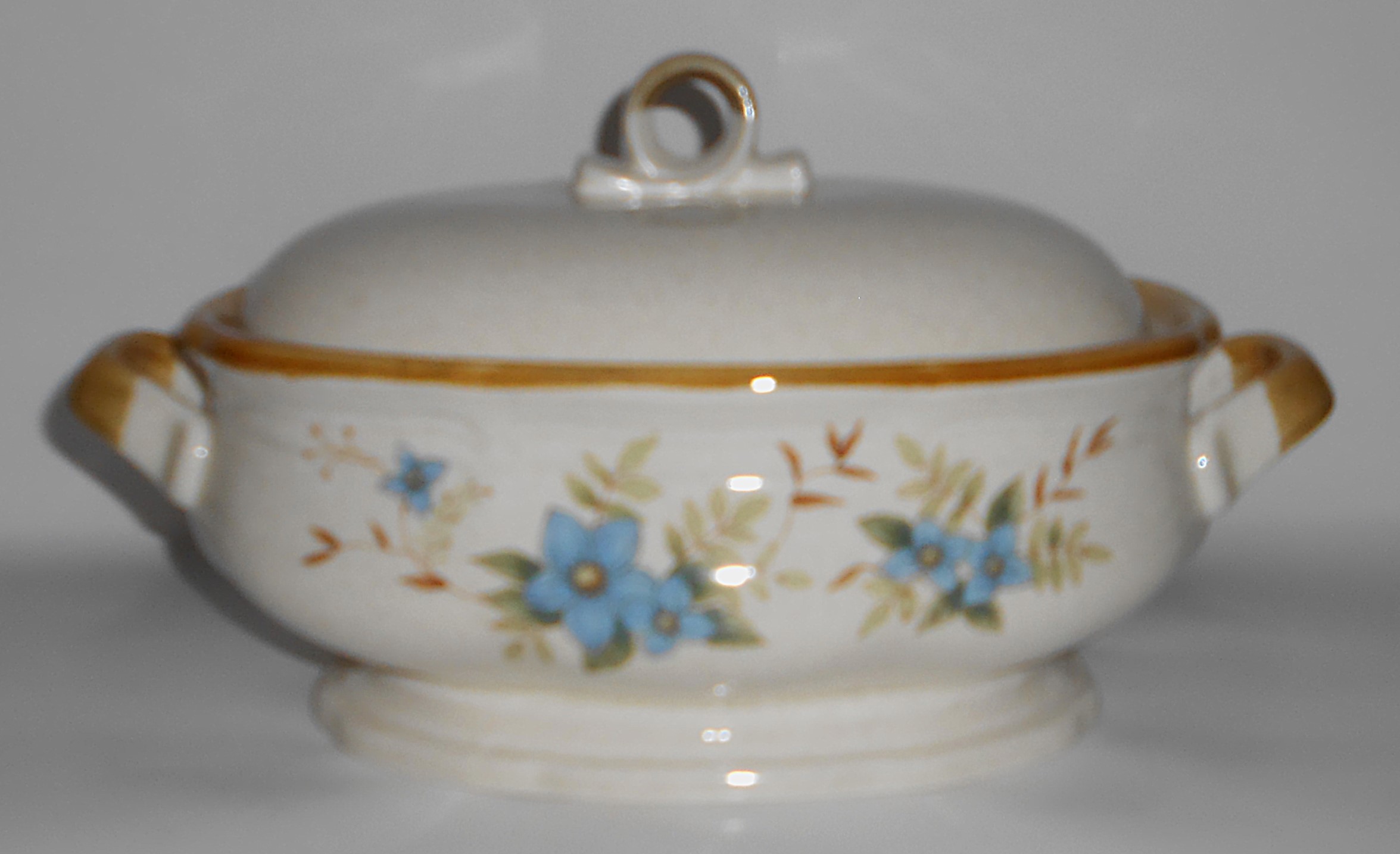 Mikasa China Pottery Garden Club DAY DREAMS Covered Sou