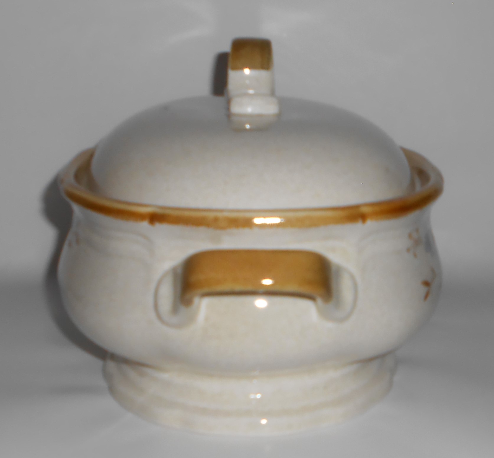Mikasa China Pottery Garden Club DAY DREAMS Covered Sou