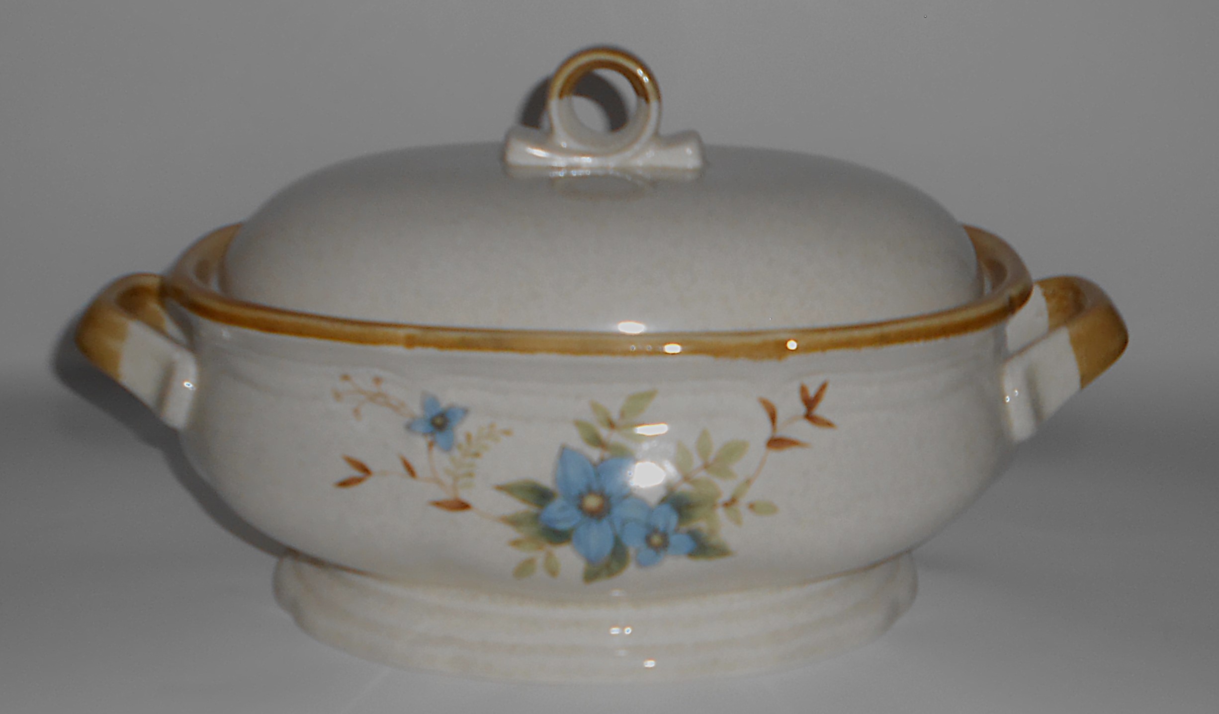 Mikasa China Pottery Garden Club DAY DREAMS Covered Sou