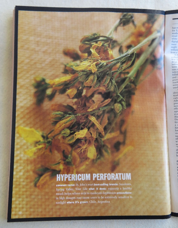 Time Magazine November 23, 1998 The Herbal Medicine Boom
