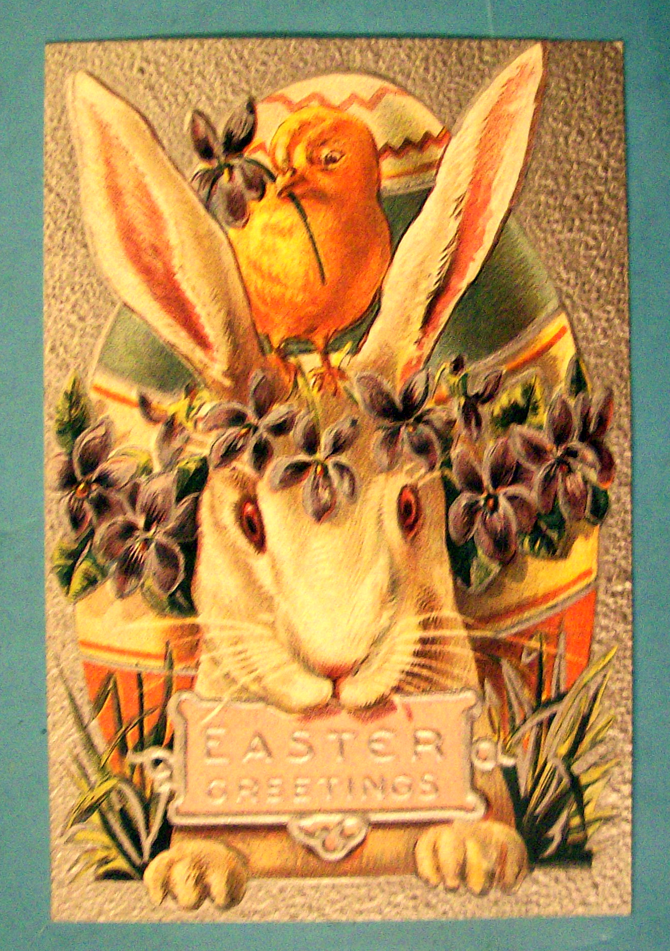 Easter Greetings Postcard with Rabbit Holding a Sign