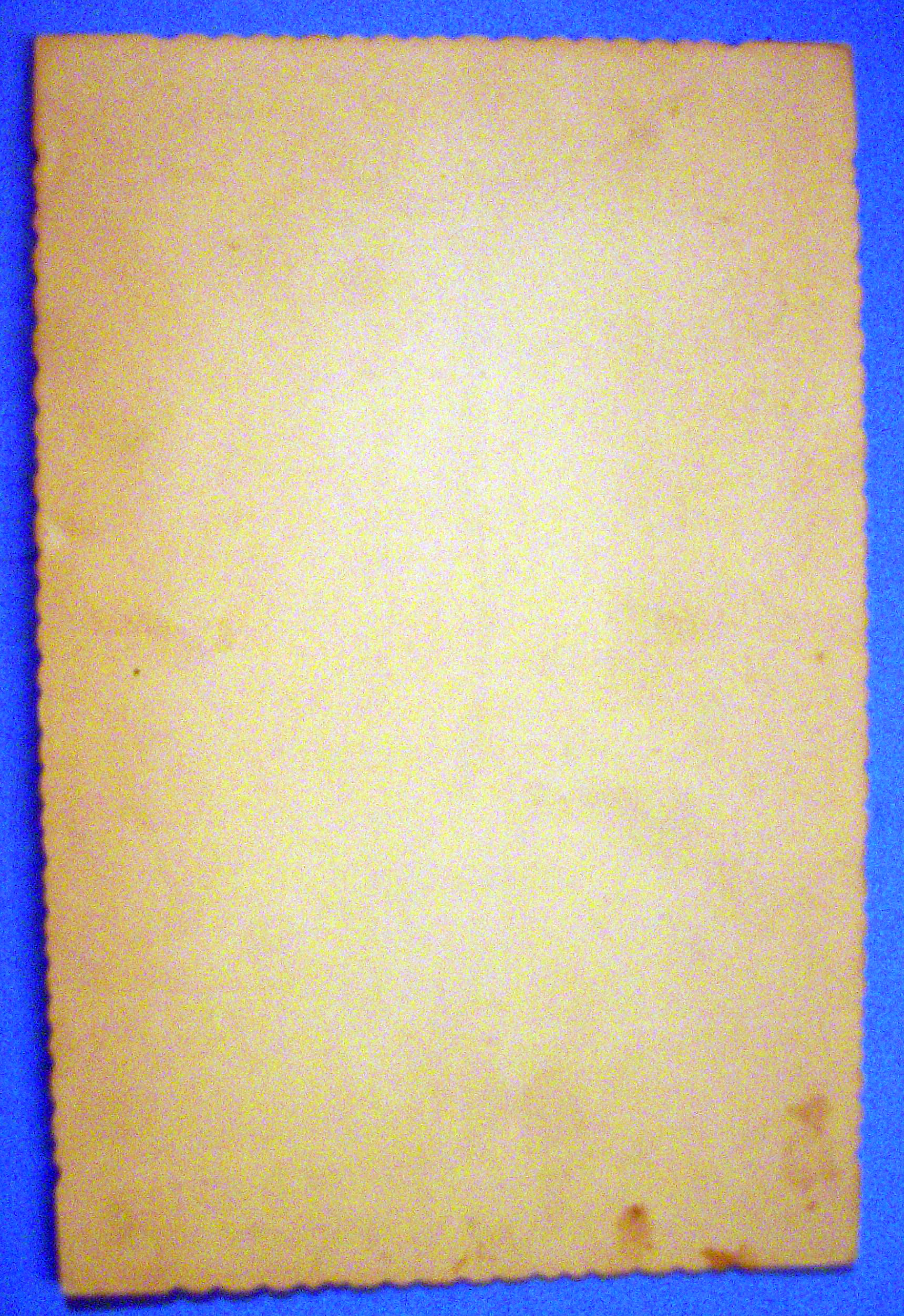 Peek A Boo - Die Cut Cabinet Photo of a Baby