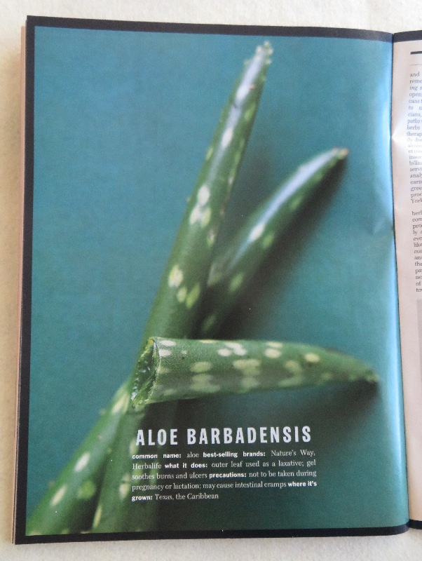 Time Magazine November 23, 1998 The Herbal Medicine Boom
