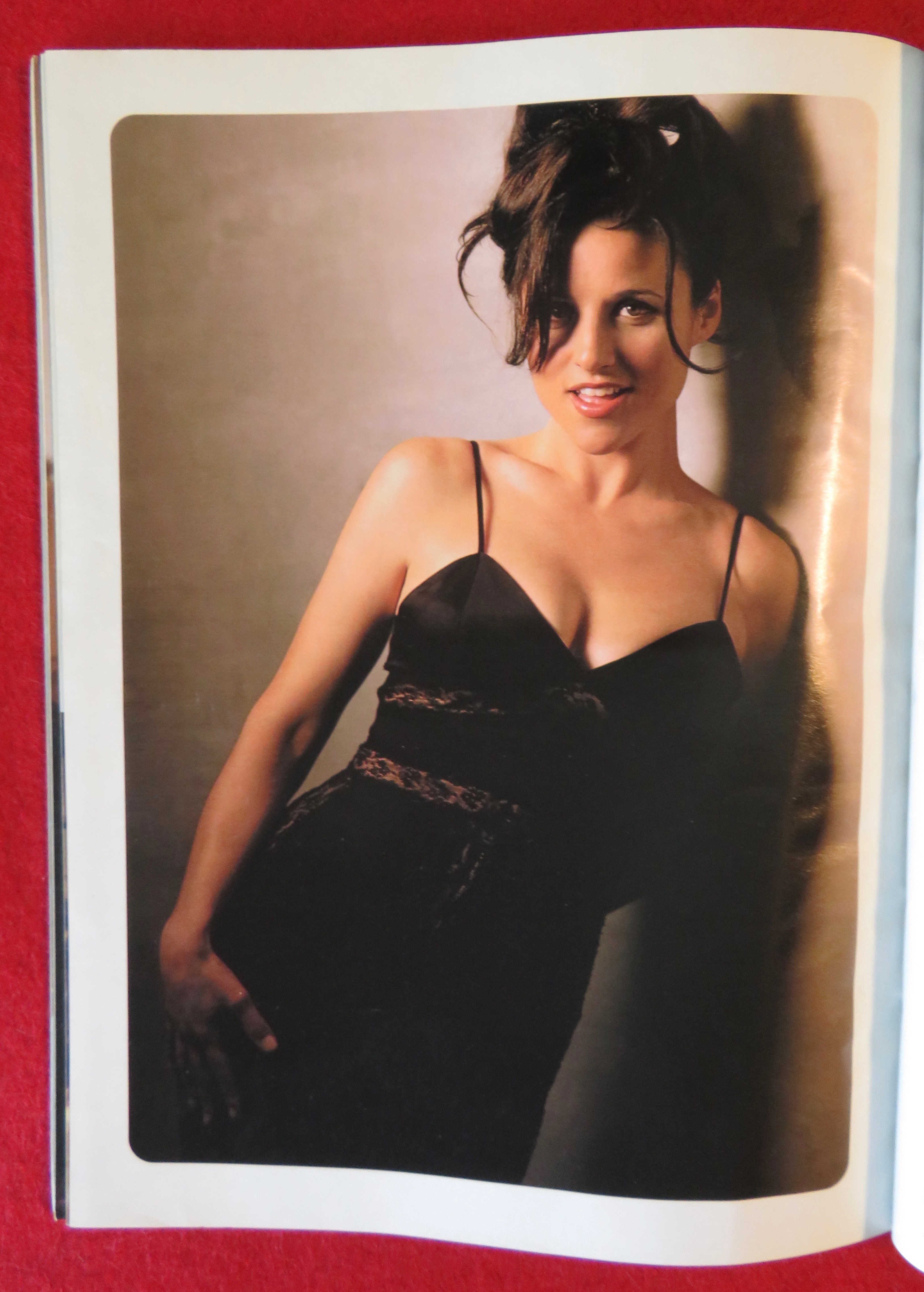 Playboy Magazine June 1996 Karin Taylor