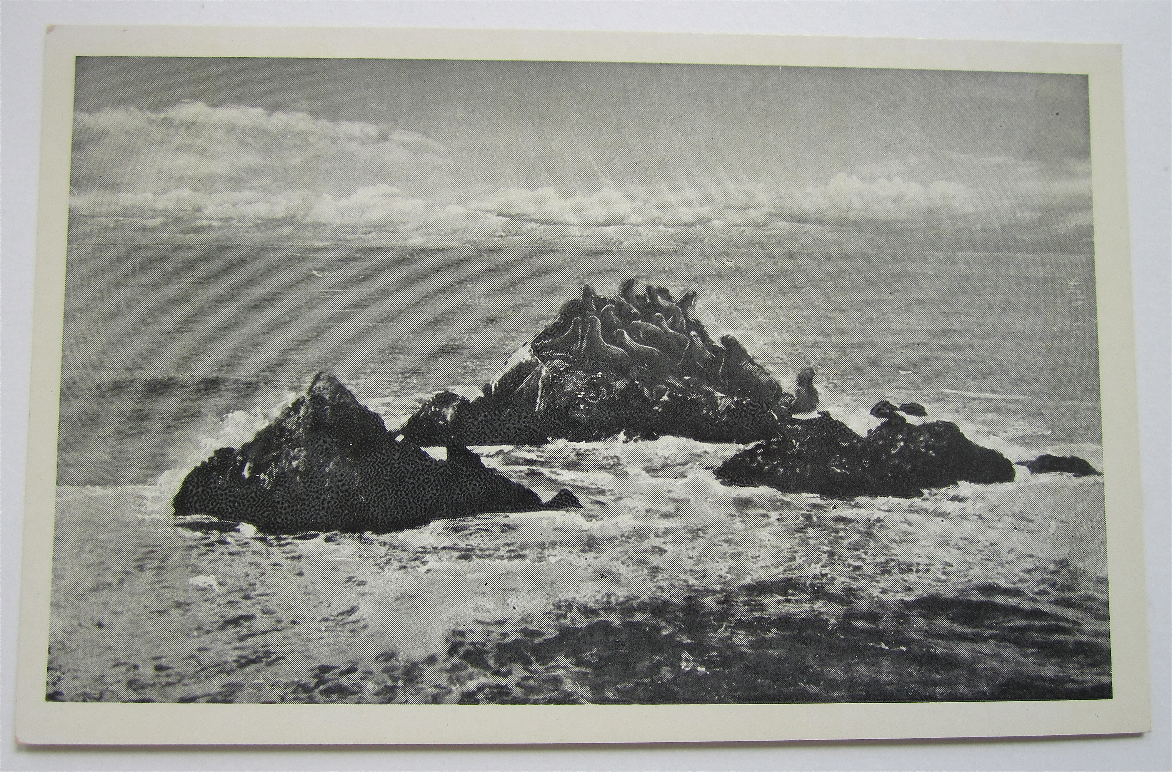 Seal Rocks From Cliff House, San Francisco, CA Postcard