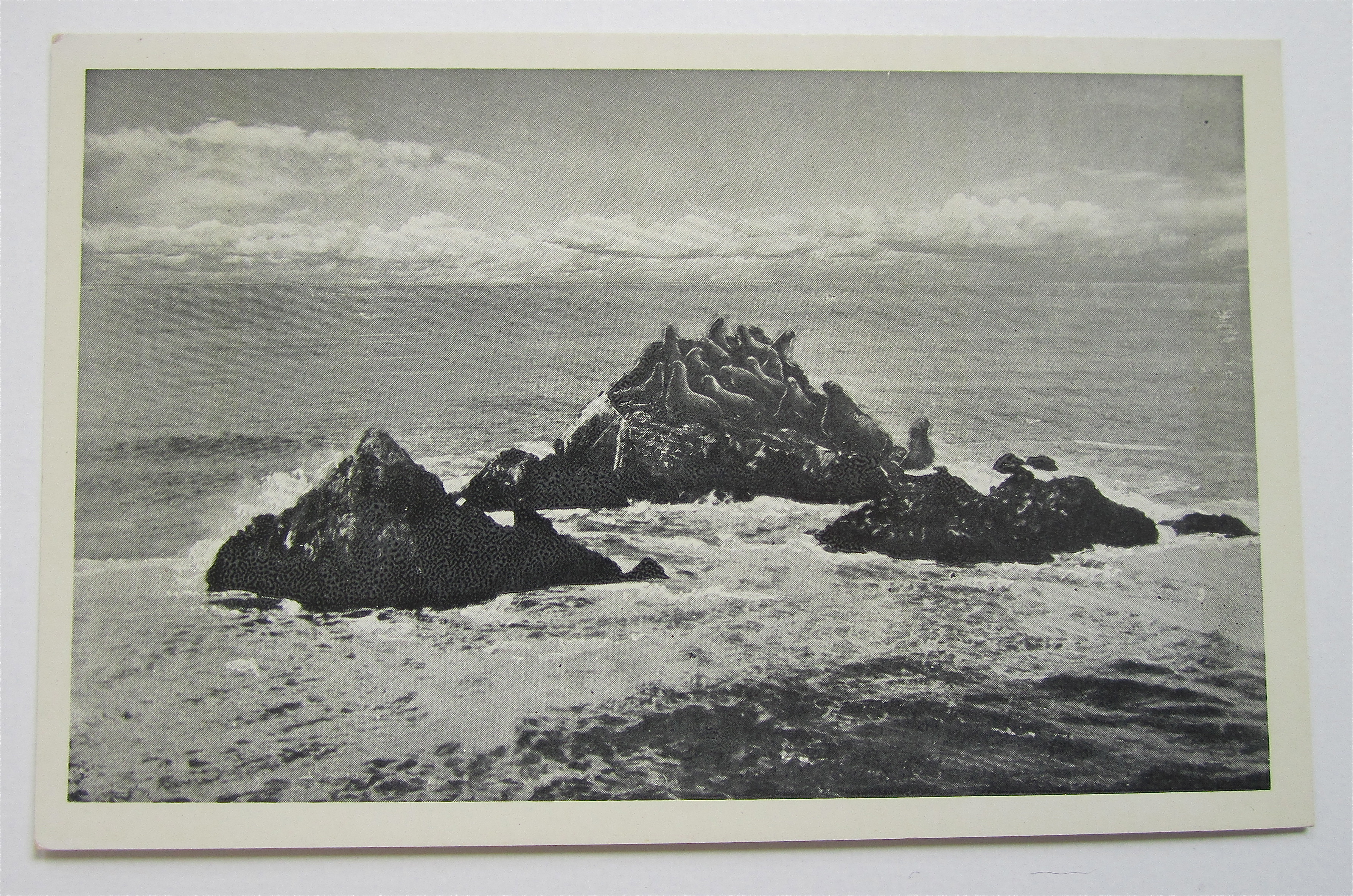Seal Rocks From Cliff House, San Francisco, CA Postcard