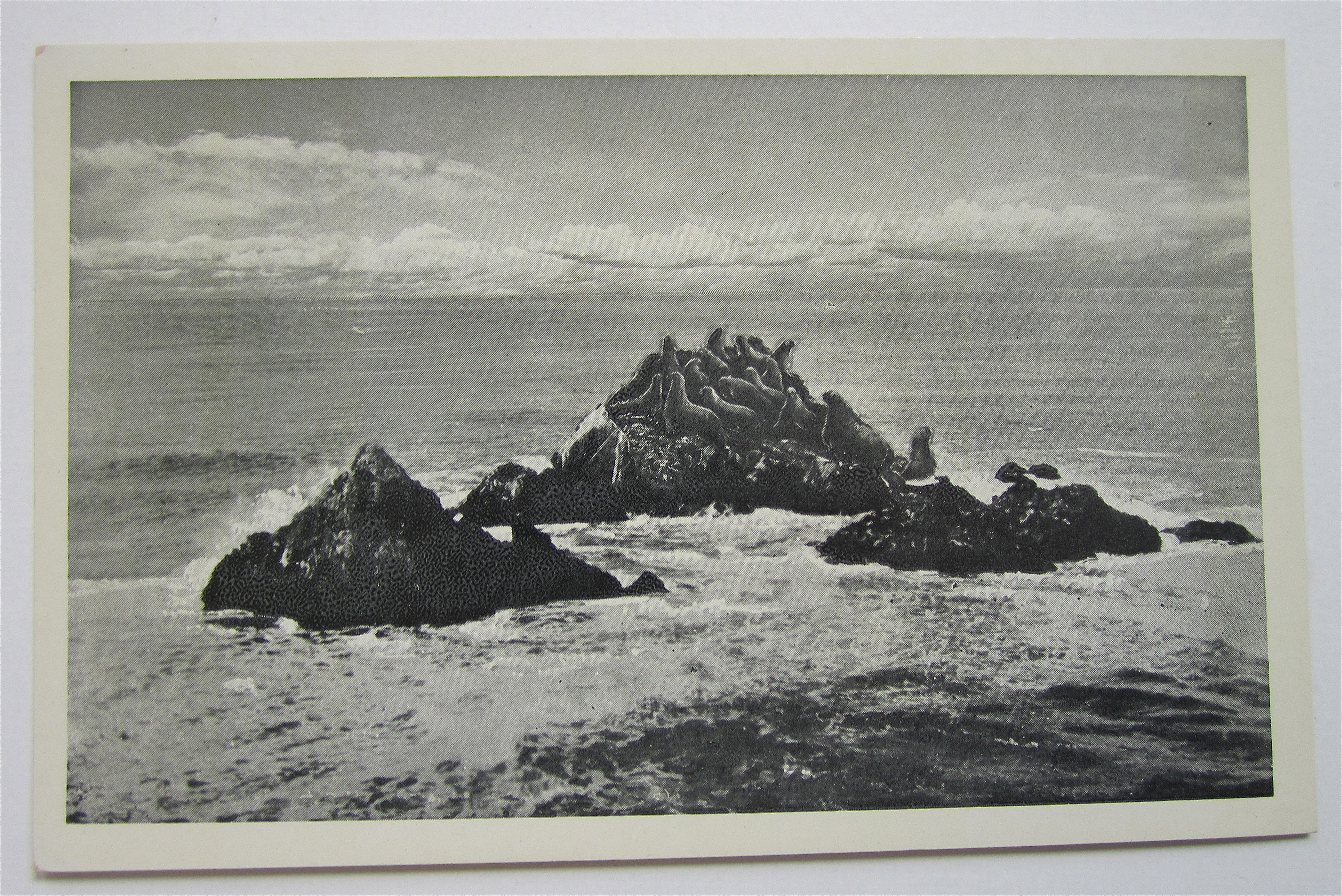 Seal Rocks From Cliff House, San Francisco, CA Postcard