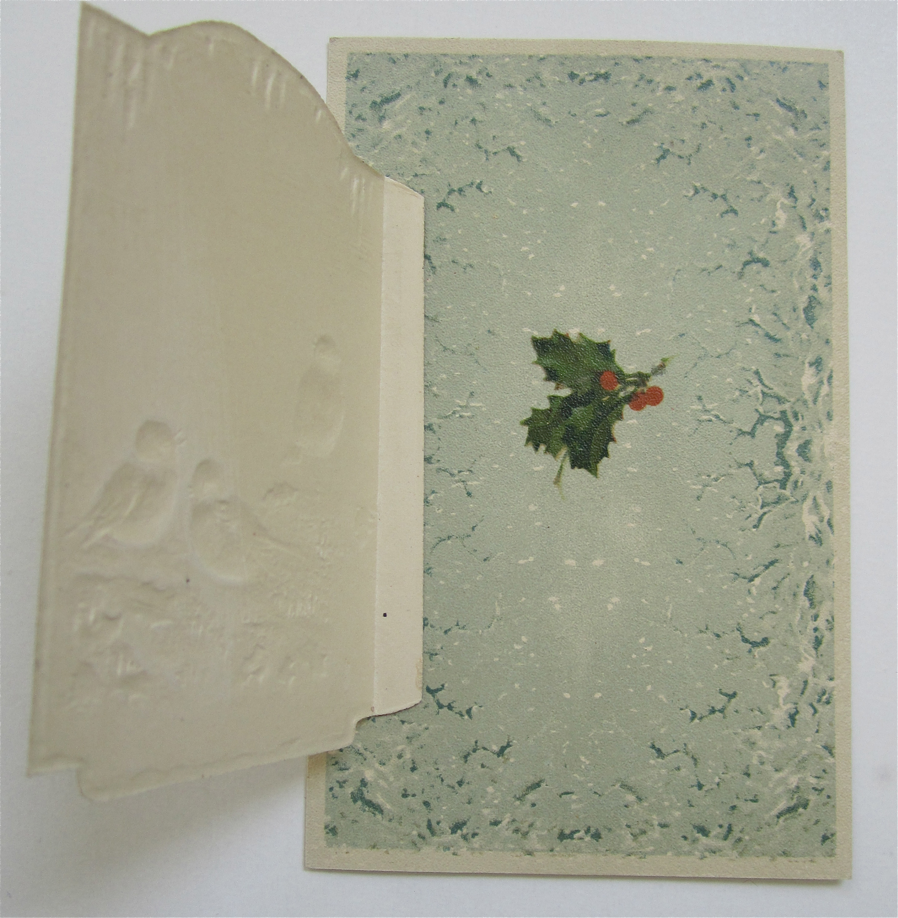 Birds In The Snow Christmas Greetings Postcard
