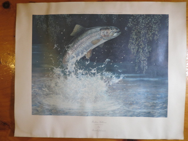 Broken Stillness Rainbow Trout by Russell Johnson Signed Print