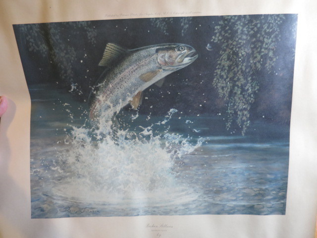 Broken Stillness Rainbow Trout by Russell Johnson Signed Print