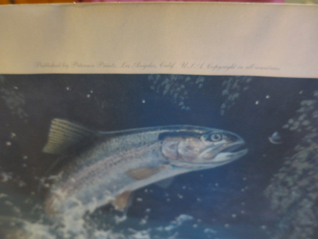 Broken Stillness Rainbow Trout by Russell Johnson Signed Print
