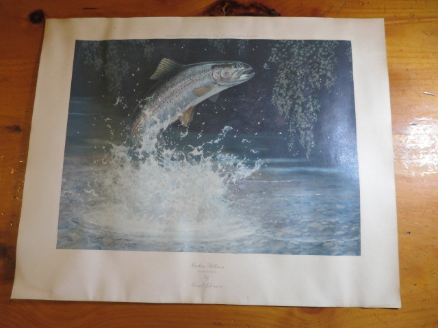Broken Stillness Rainbow Trout by Russell Johnson Signed Print