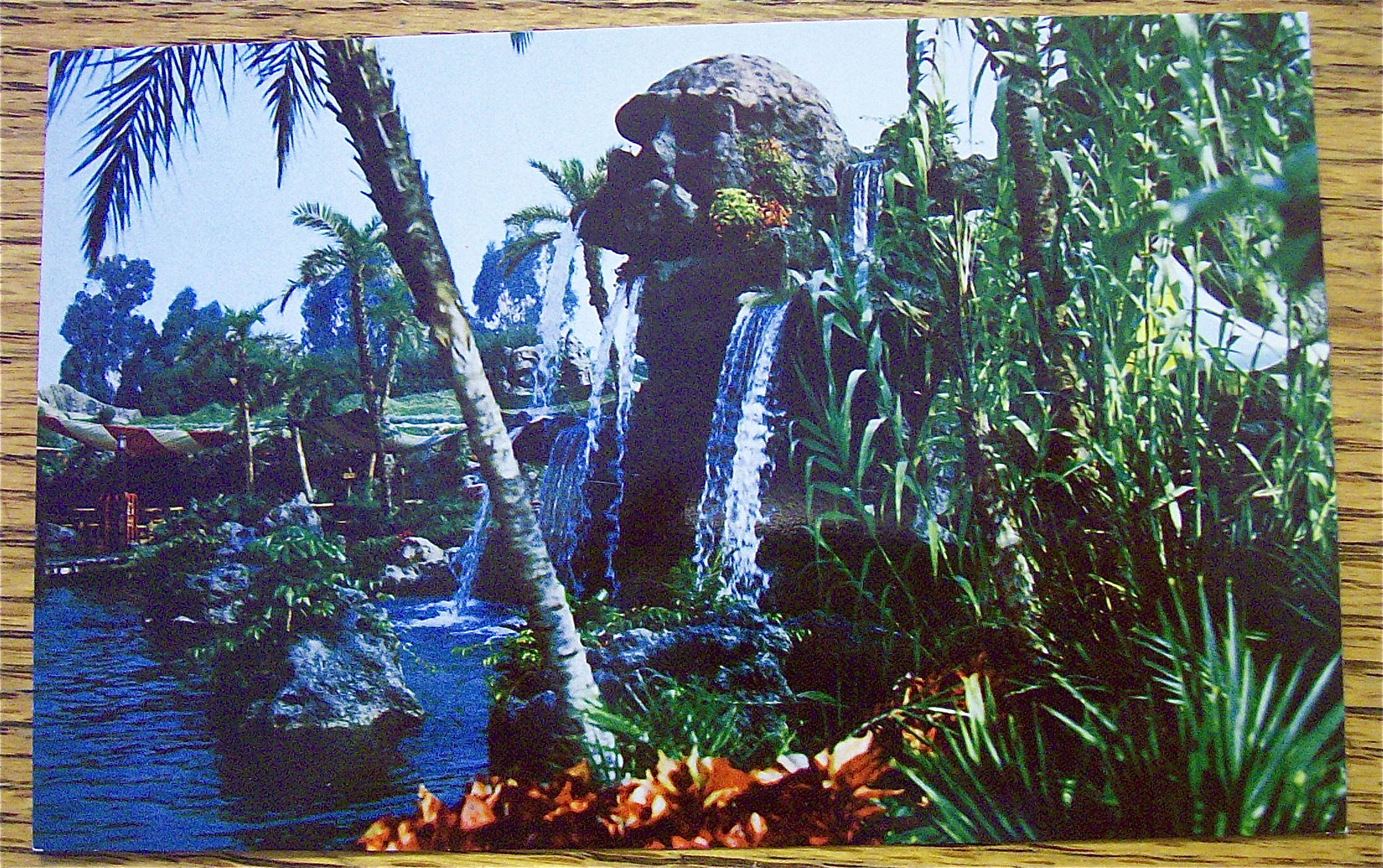 Pirate's Cove In Disneyland Postcard (Magic Kingdom)