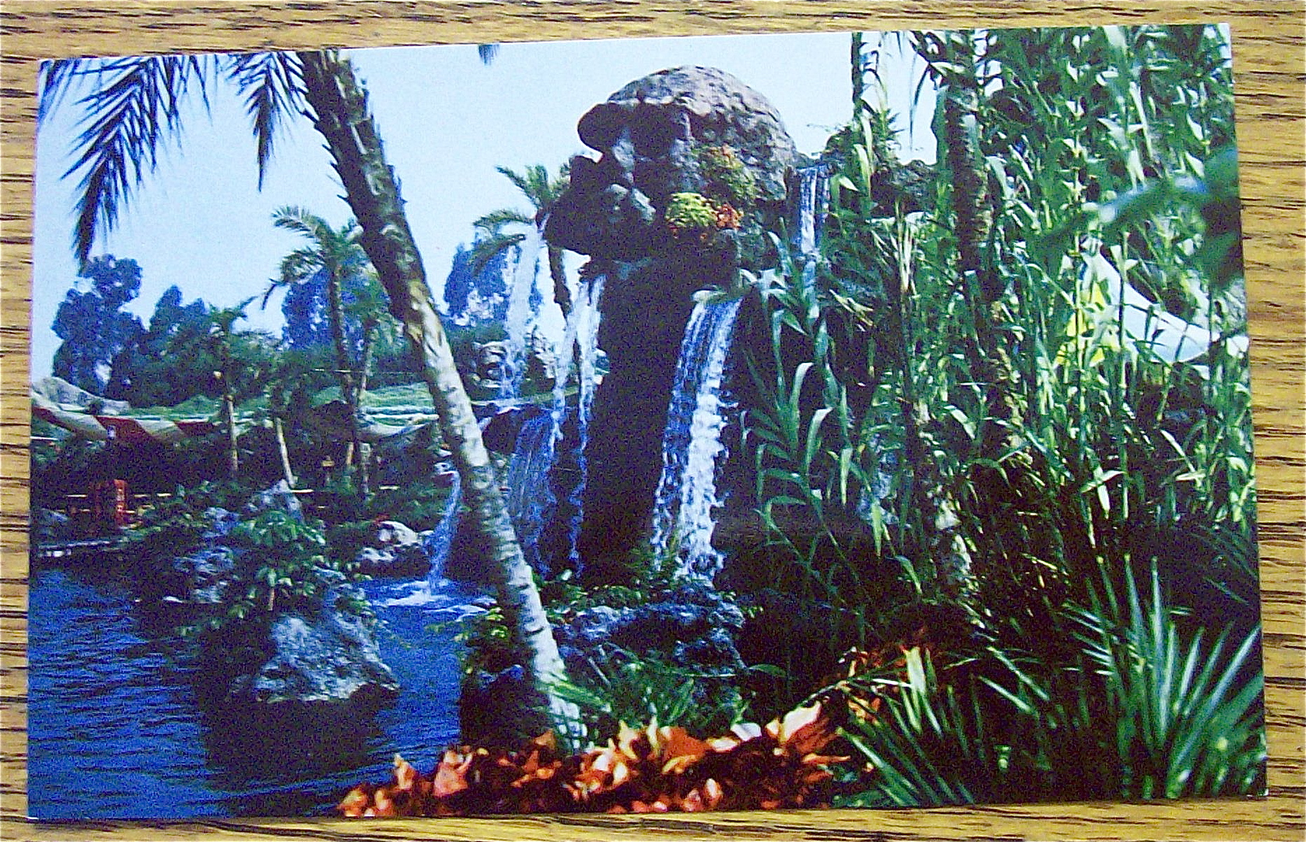 Pirate's Cove In Disneyland Postcard (Magic Kingdom)