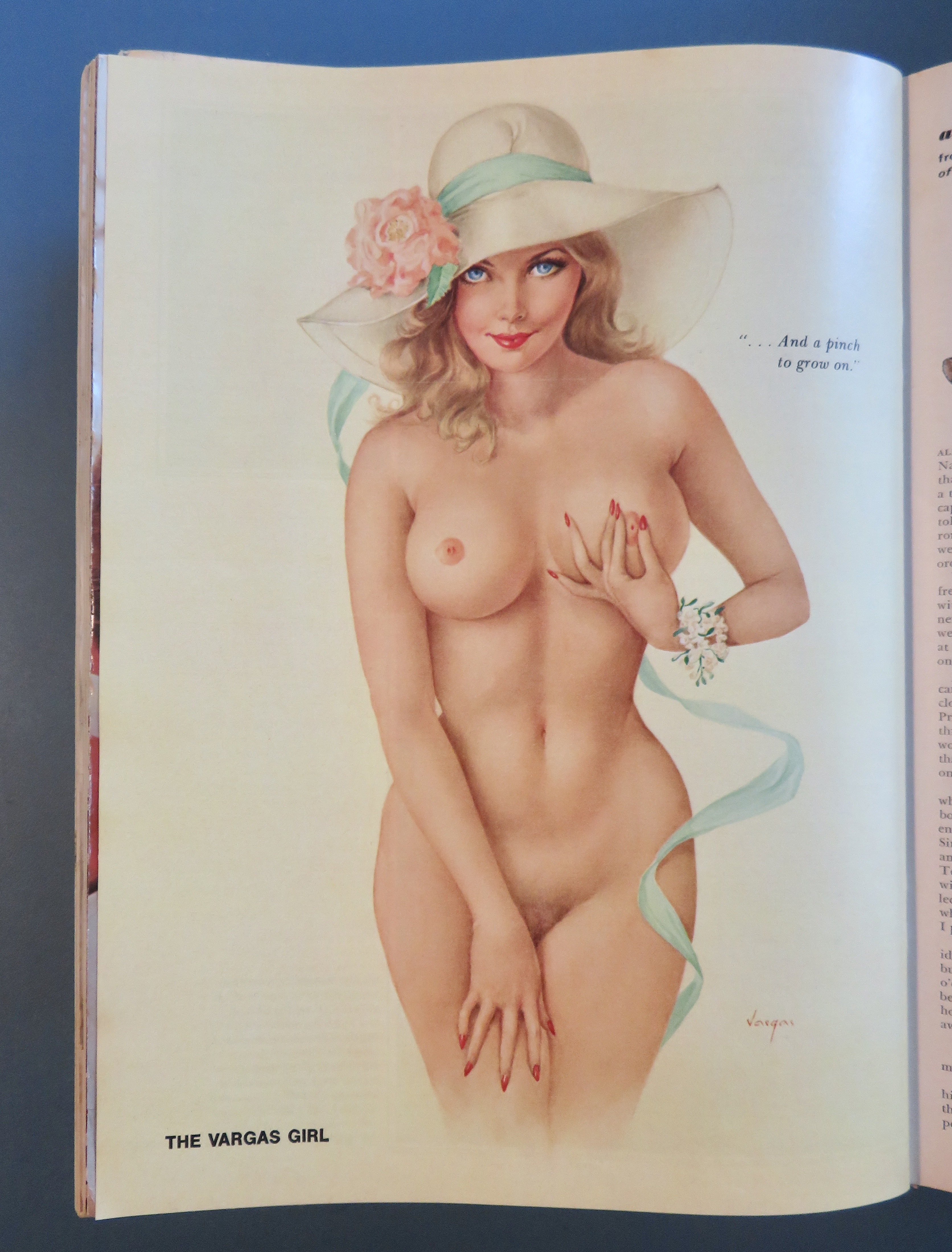 Playboy Magazine - May 1975 - Bridgett Rollins