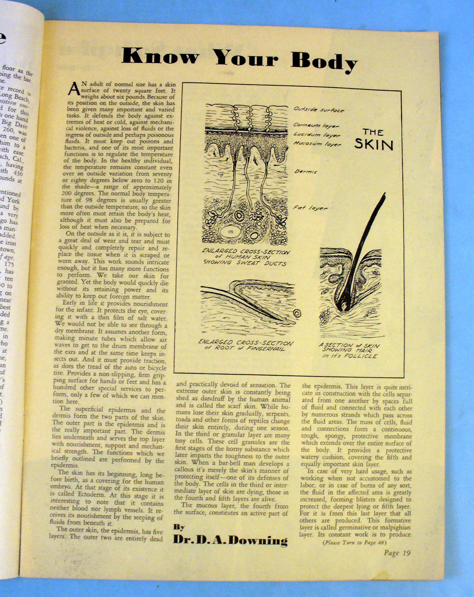 Strength & Health Magazine April 1939  Jack Channing