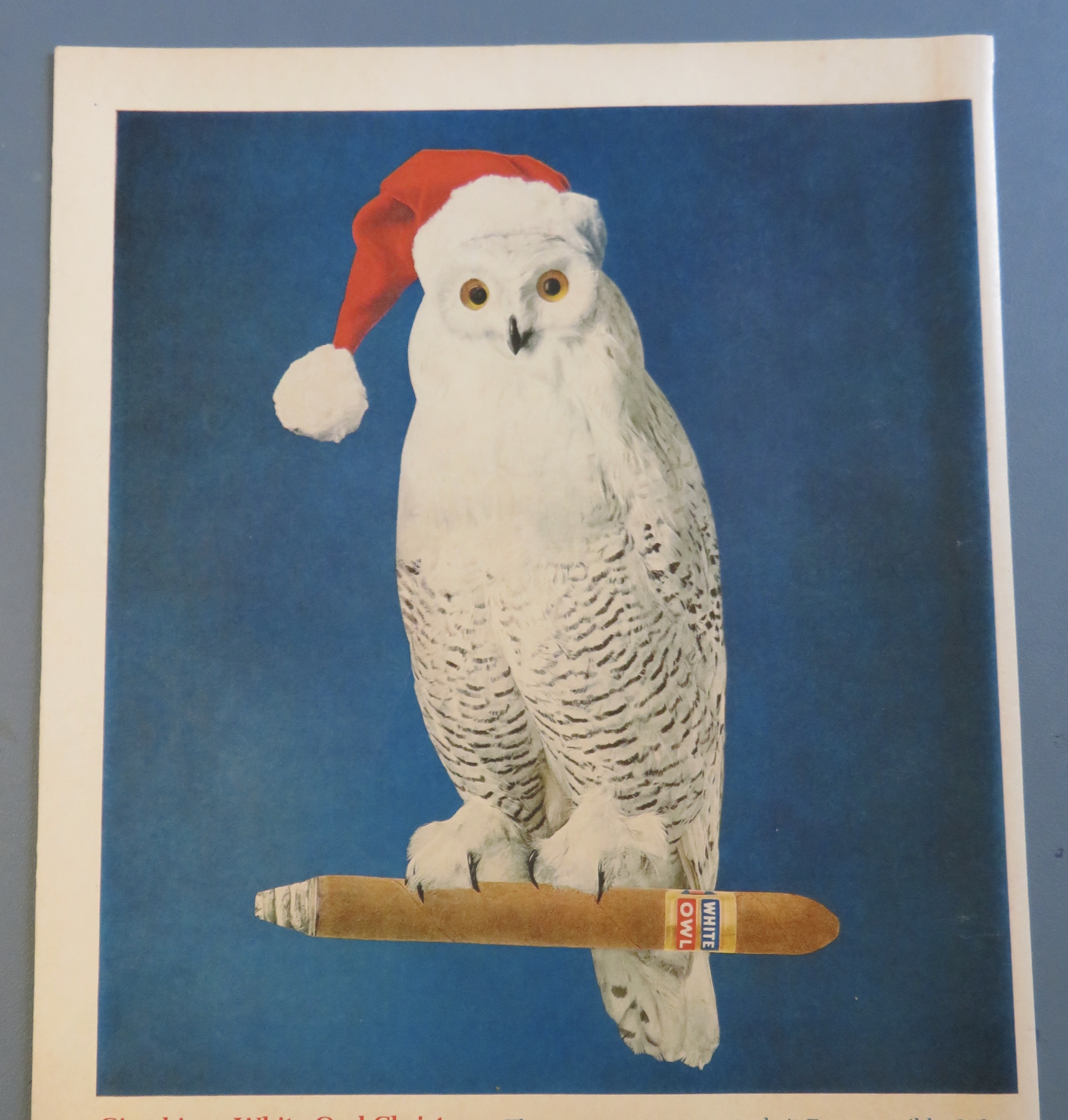 1961 White Owl Cigars with White Owl On Cigar