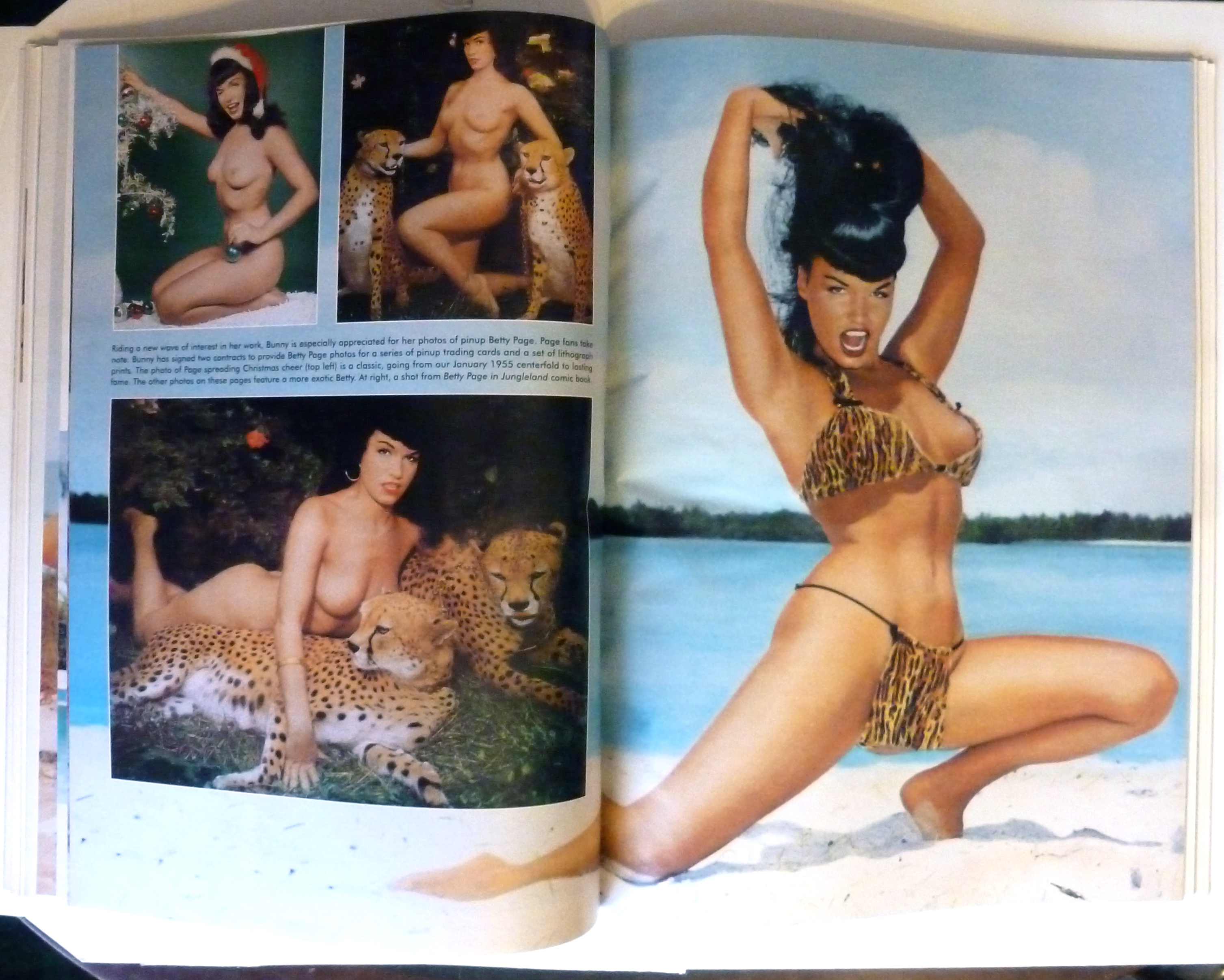 Playboy Magazine-May 1994-Shae Marks
