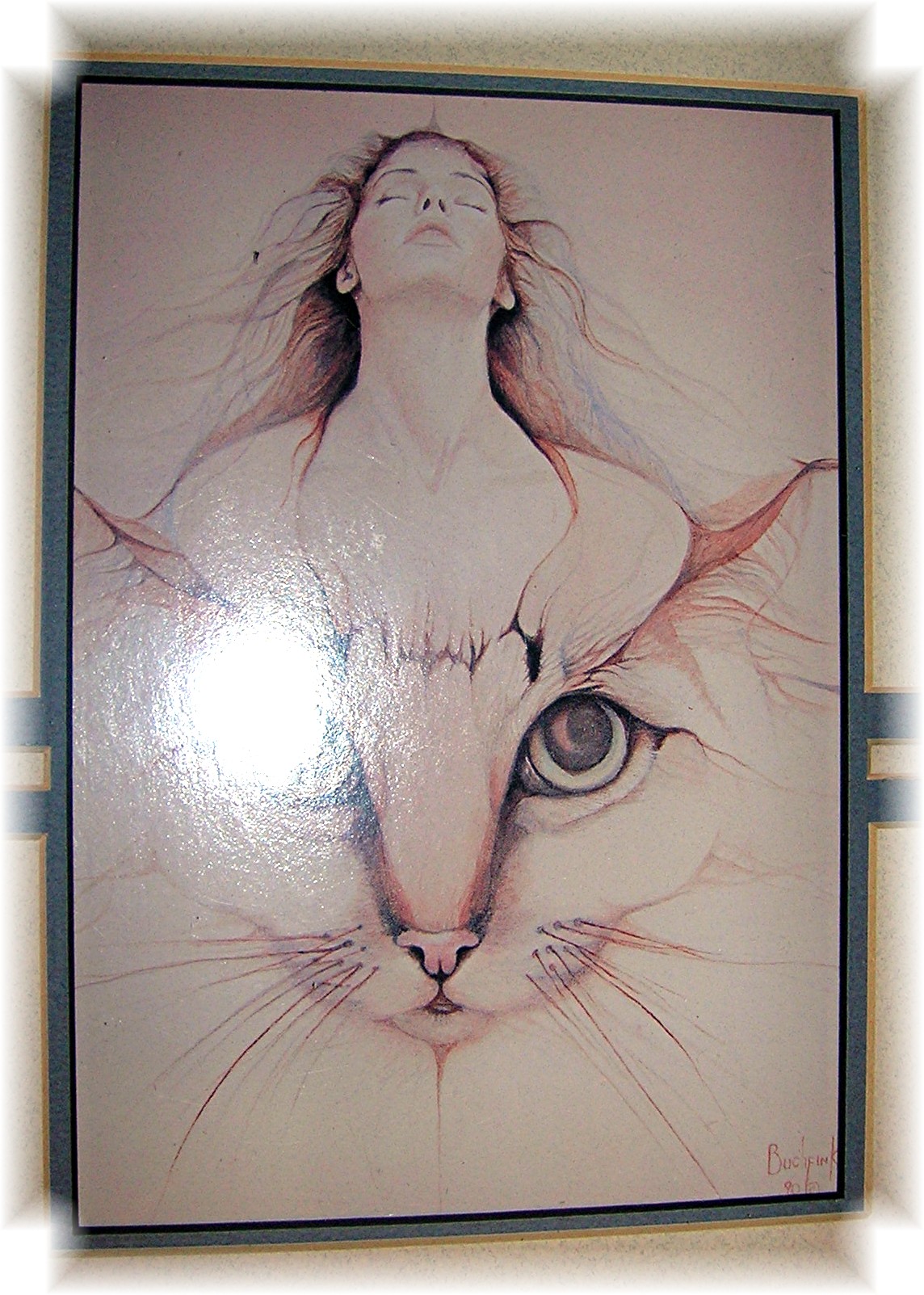 Cat  Print Lady Framed BUCHFIN 90(c)