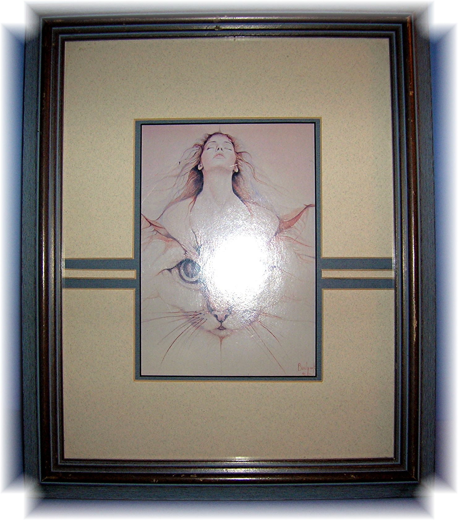 Cat  Print Lady Framed BUCHFIN 90(c)
