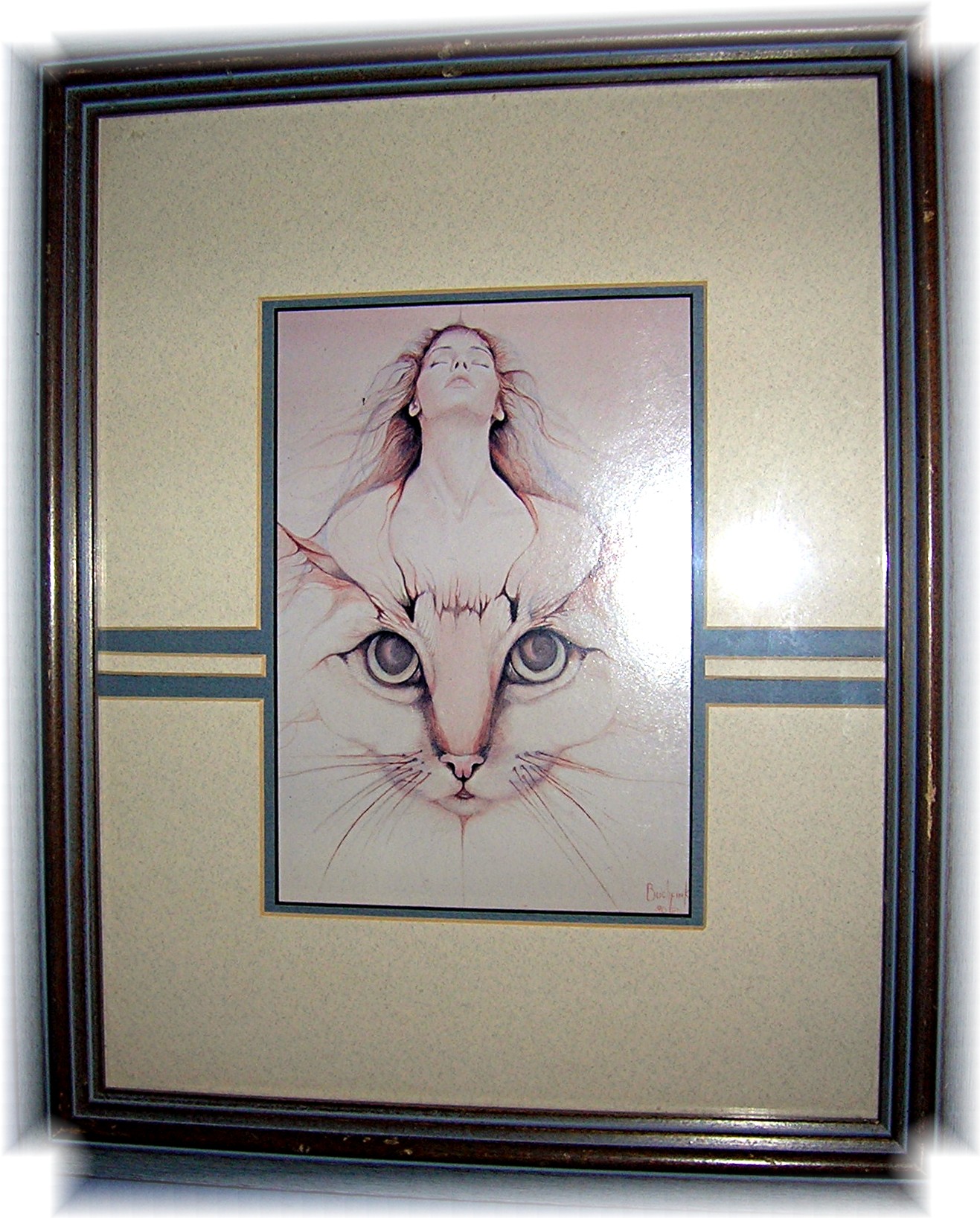 Cat  Print Lady Framed BUCHFIN 90(c)