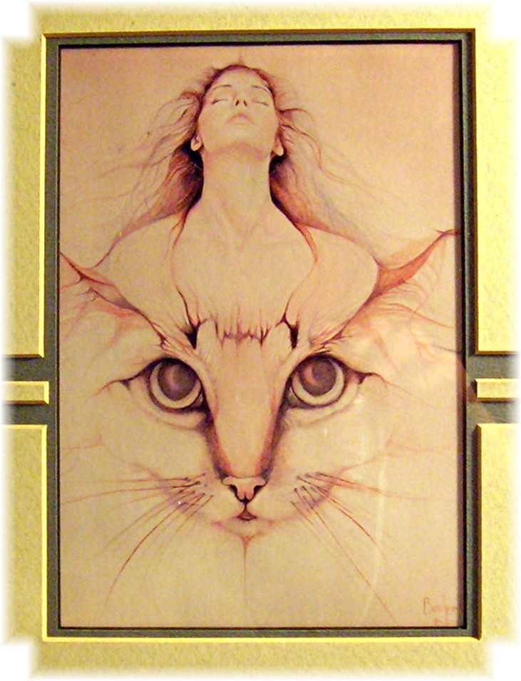 Cat Print Lady Framed BUCHFIN 90(c)